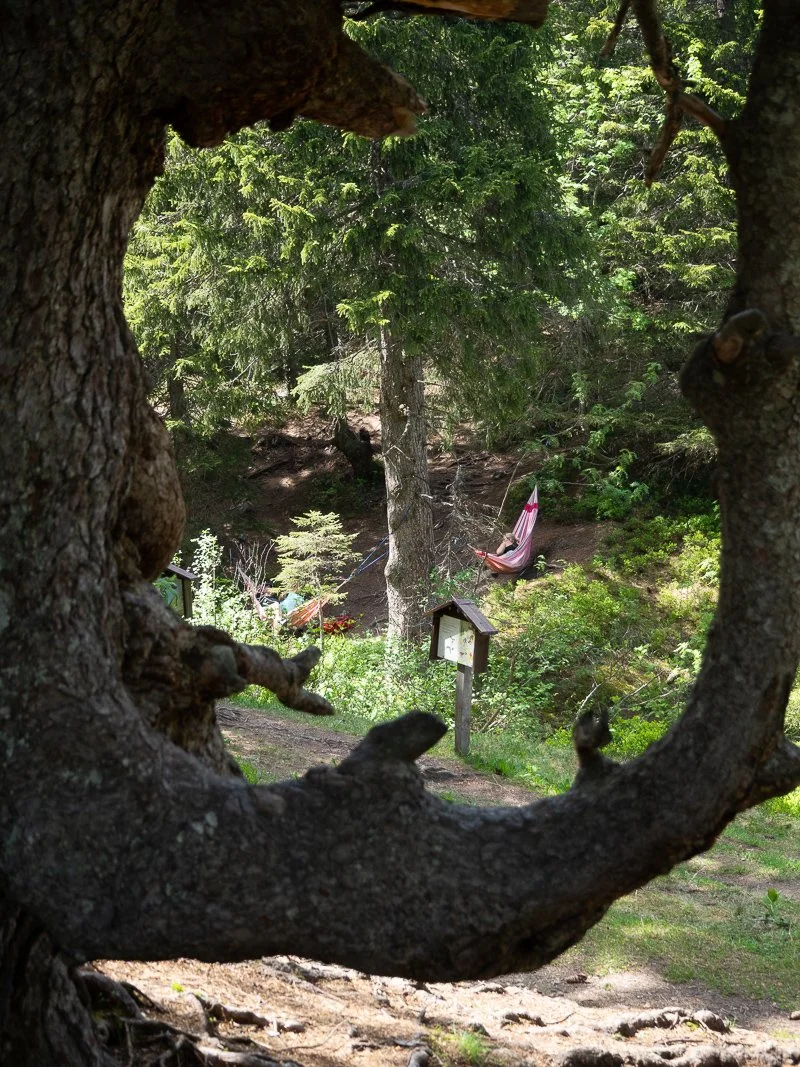   Rest area – hammocks along the trail  