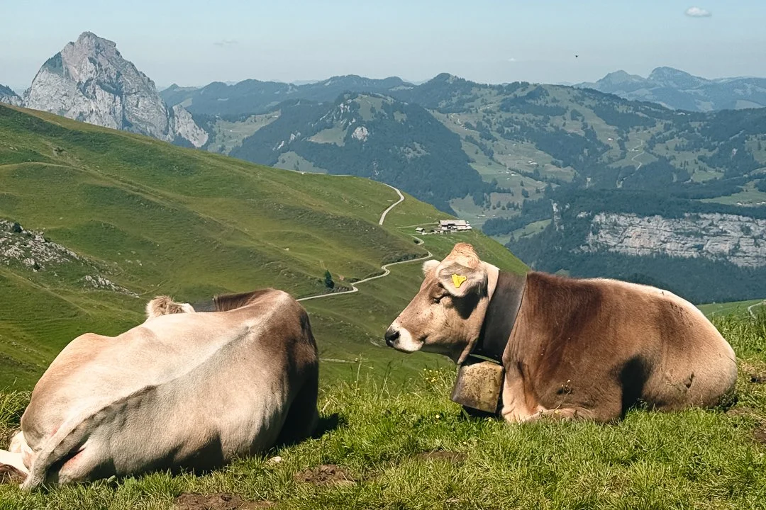   A well-earned rest just below Fronalpstock  😁 