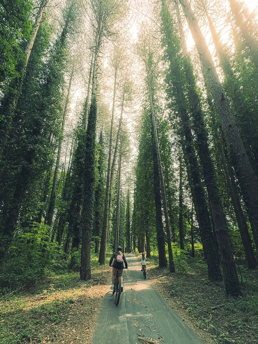   Czasem asfaltem, głównie ścieżkami leśnymi - trasa rowerowa w Foresta Umbra niemal w 100% na drogach bez samochodów!  