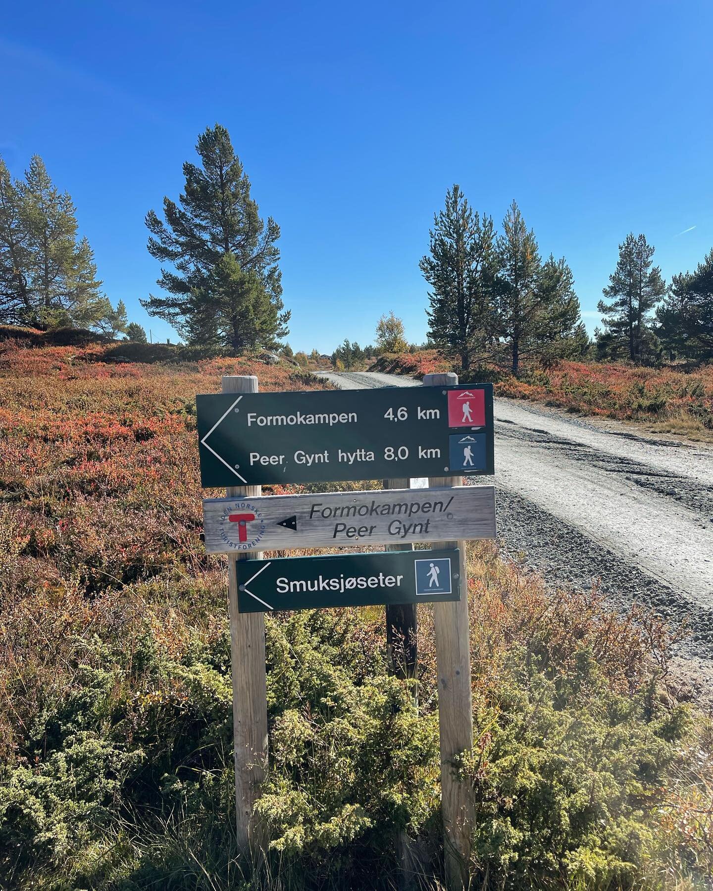 Har du v&aelig;rt p&aring; Formokampen😃⛰? Vi tok med kontorhunden opp for et bes&oslash;k i g&aring;r og angrer ikke p&aring; det☺️🍂🍁☀️🐾

#formokampen #rondane #smuksj&oslash;seter #h&oslash;stifjellet #nasjonalparkriket #liveterbestute #frilufts