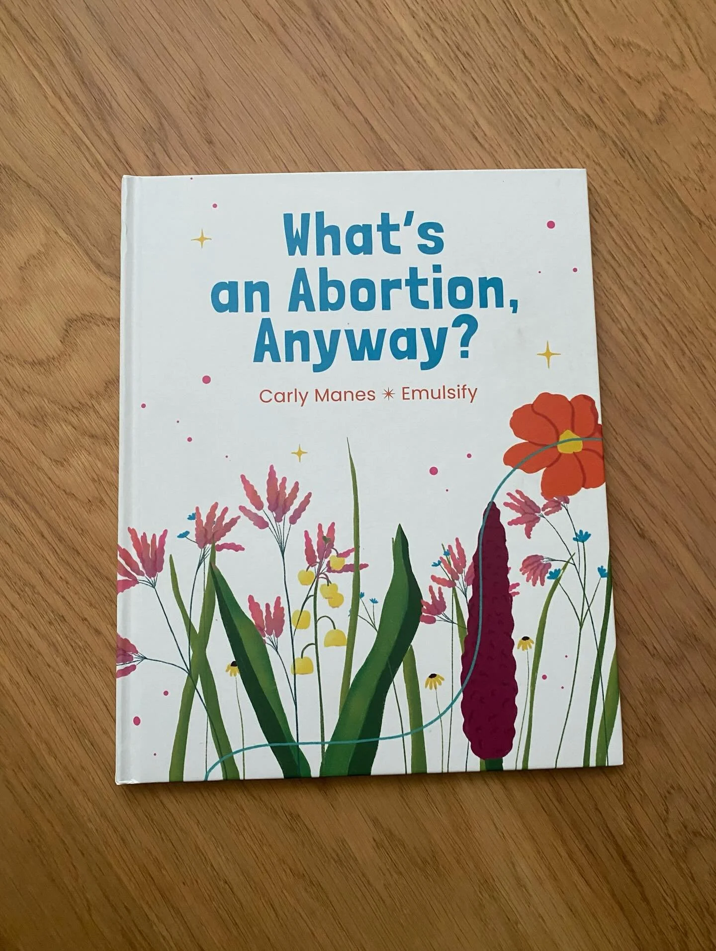 Finally got my hands on &ldquo;What&rsquo;s an Abortion Anyway?&rdquo; by. @carlykolauthor - thank you @adiyahcollective ❤️

A book on speaking with young people about abortion. 

#abortion #readinglist #abortiondoula