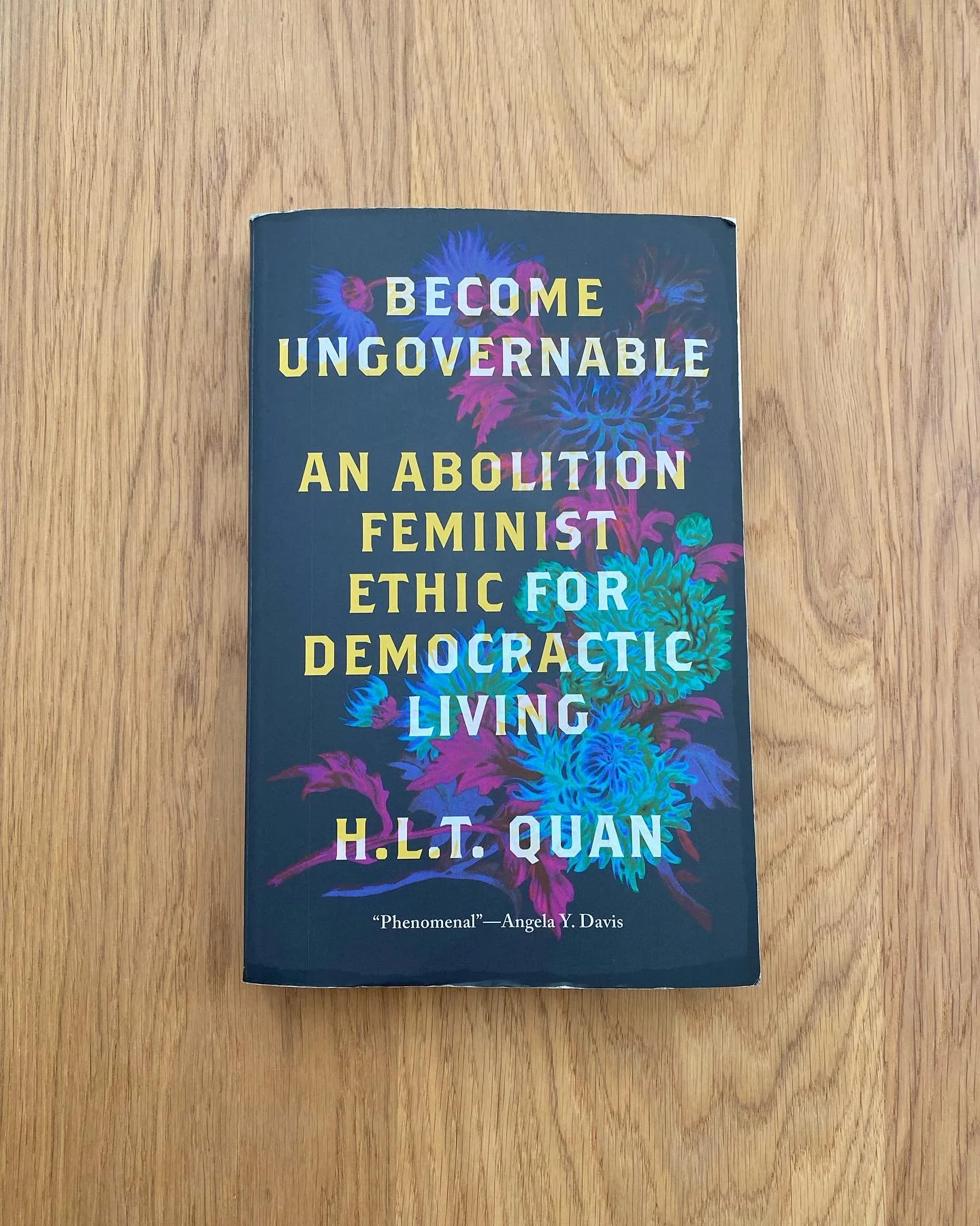Holiday reads 📚

-Become Ungovernable by. H.L.T Quan 
-Unwell Women by. Elinor Cleghorn
-Womb by. Leah Hazard 
-Woman at Point Zero by. Nawal El Saadawi