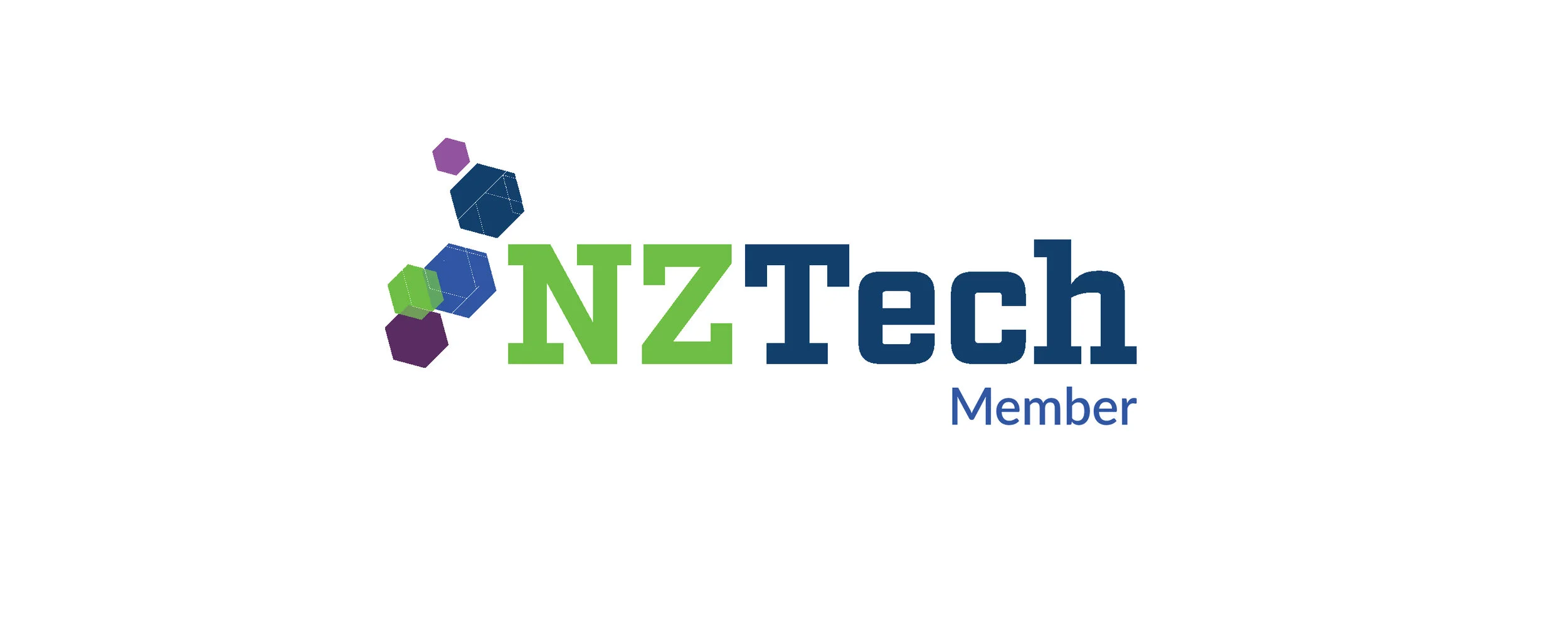 NZ Tech Member graphic