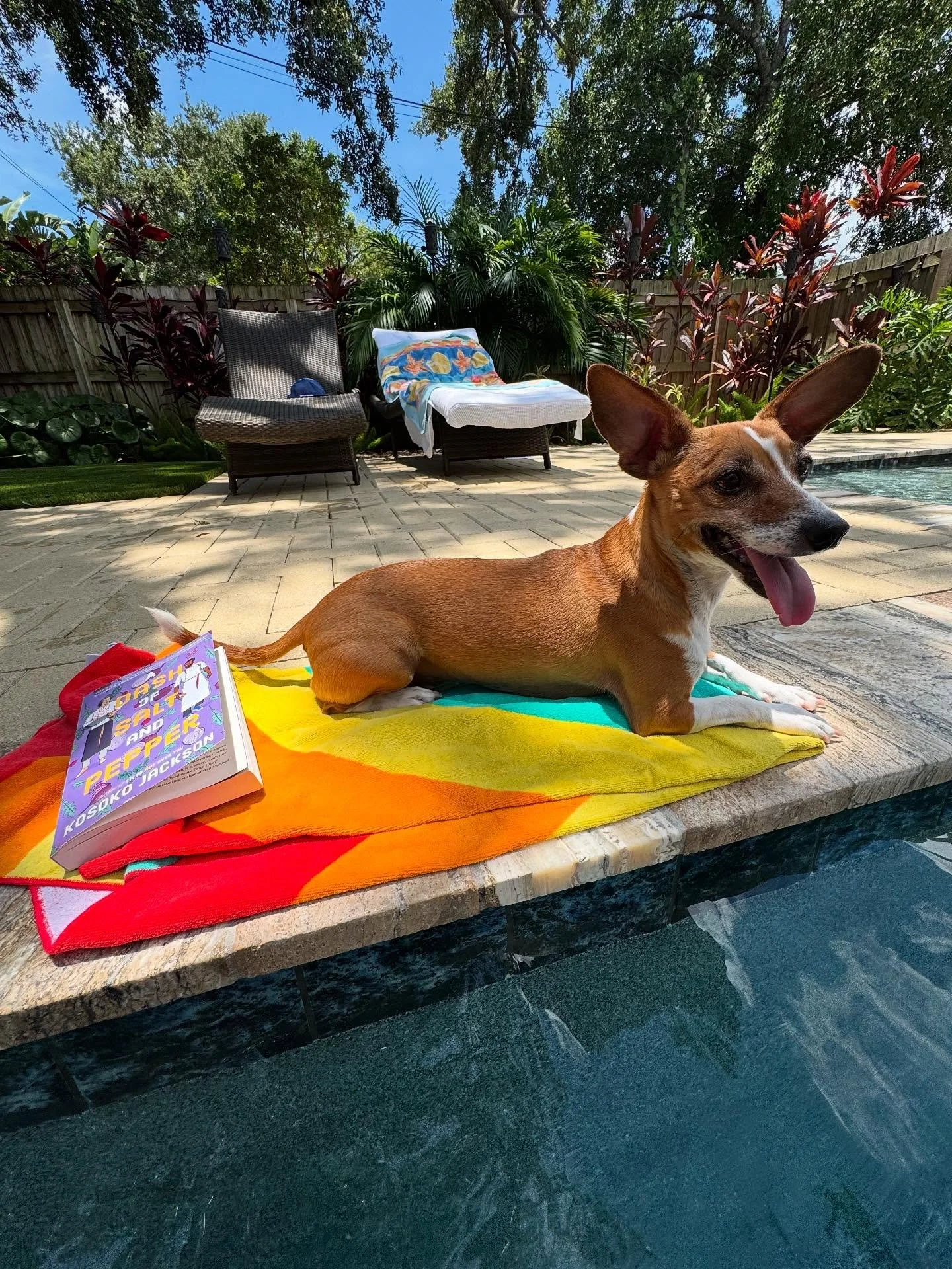 July dump. It was hot. Good time to be like a squirrel and sploot (see last slide! 🐿️). 

With only one event, I focused a lot on getting organized, improving my systems (HubSpot for the win) and prepping for August clients. 

I did take the Amtrak 