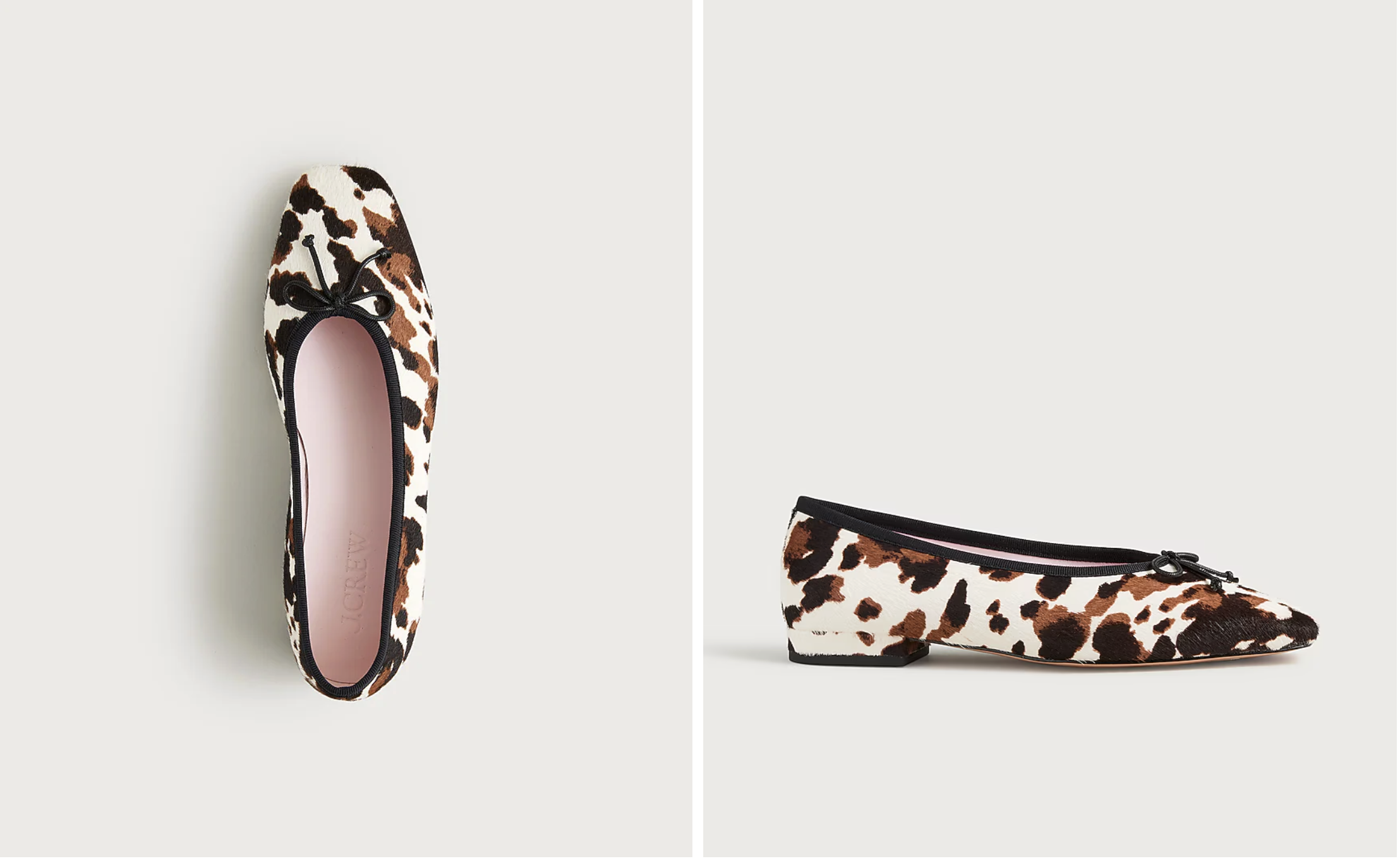 Screenshot 2026-02-18 at 4.20.58 PM.png