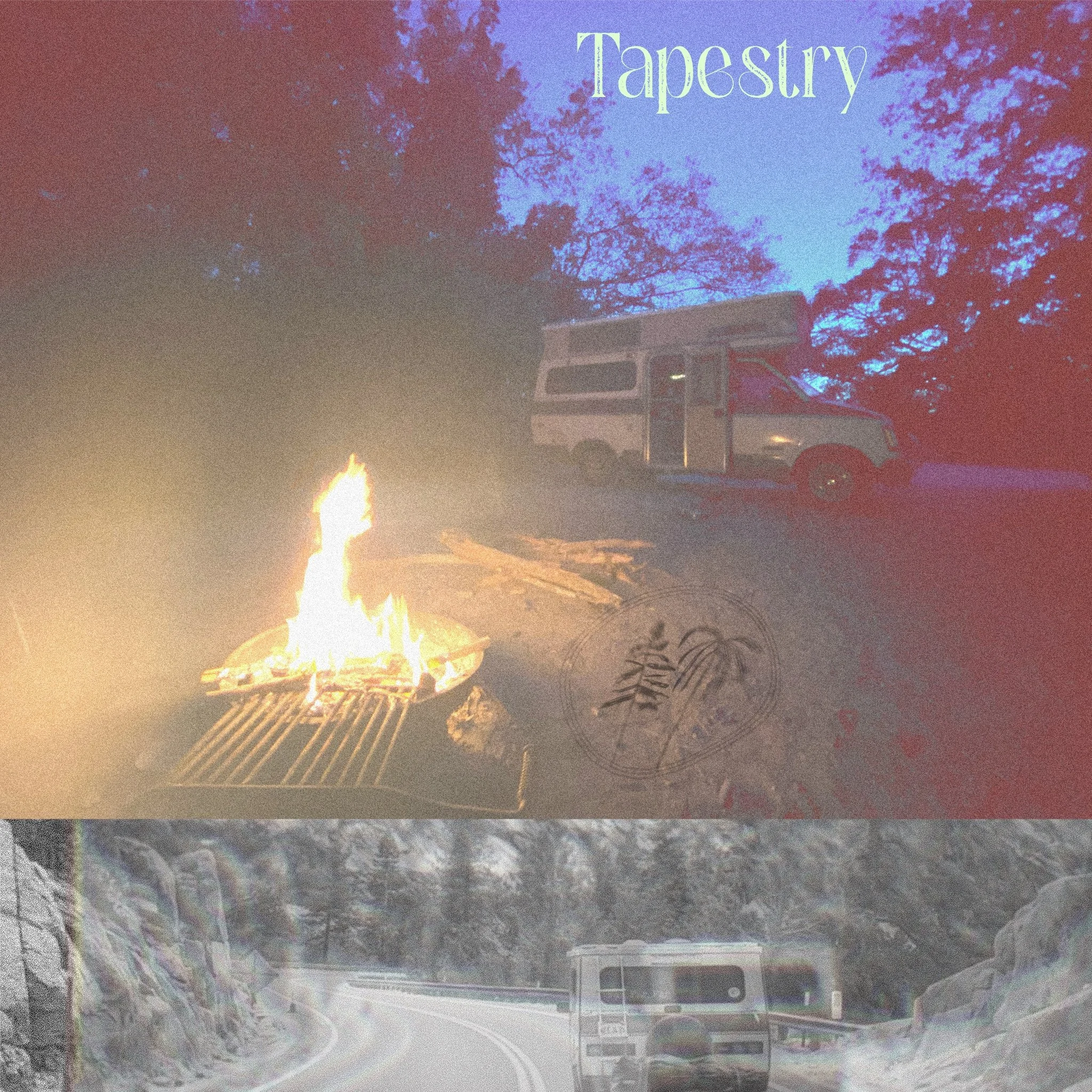 Big Cypress National Preserve, Florida, January 2021 & Lake Tahoe, California, June 2020