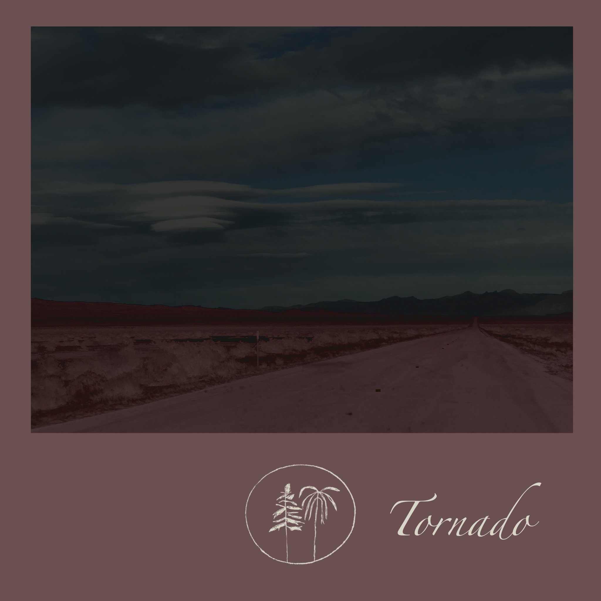 US-6, Hinckley, Utah, June 2020