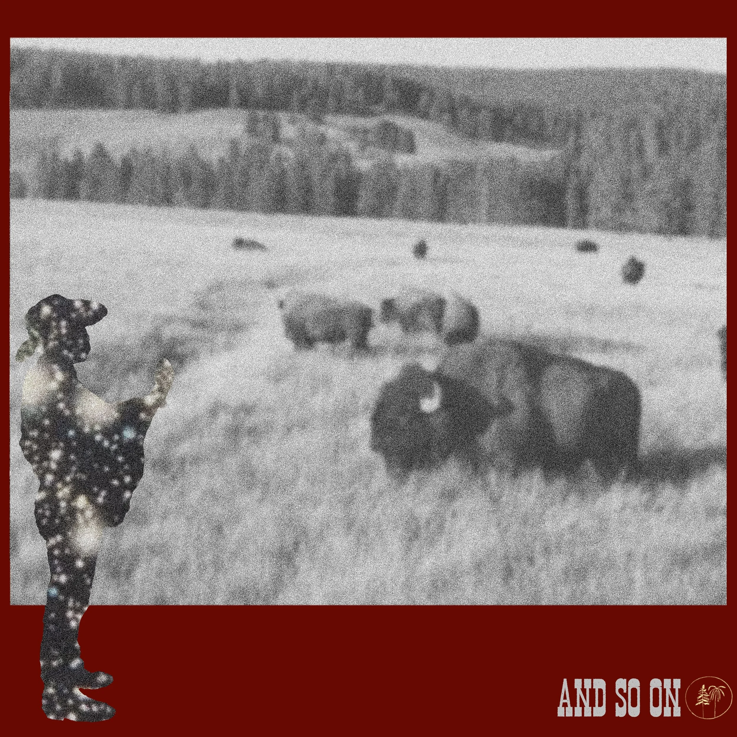 Yellowstone National Park, Wyoming, August 2018