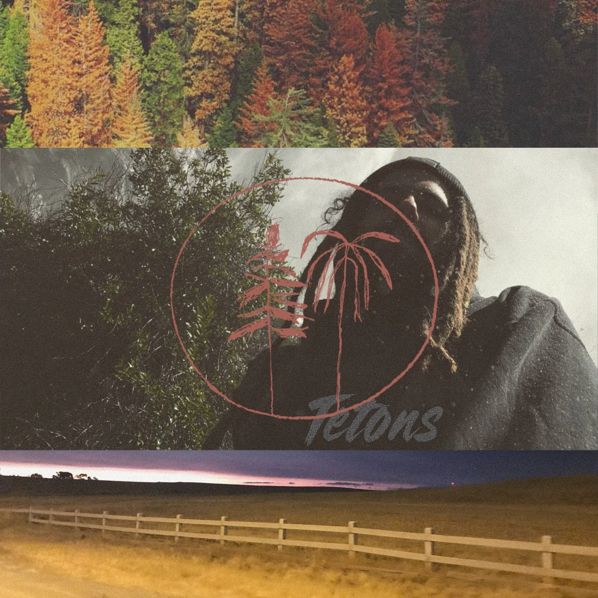 Yosemite National Park, California, April 2018 & Mountain View, California, July 2018