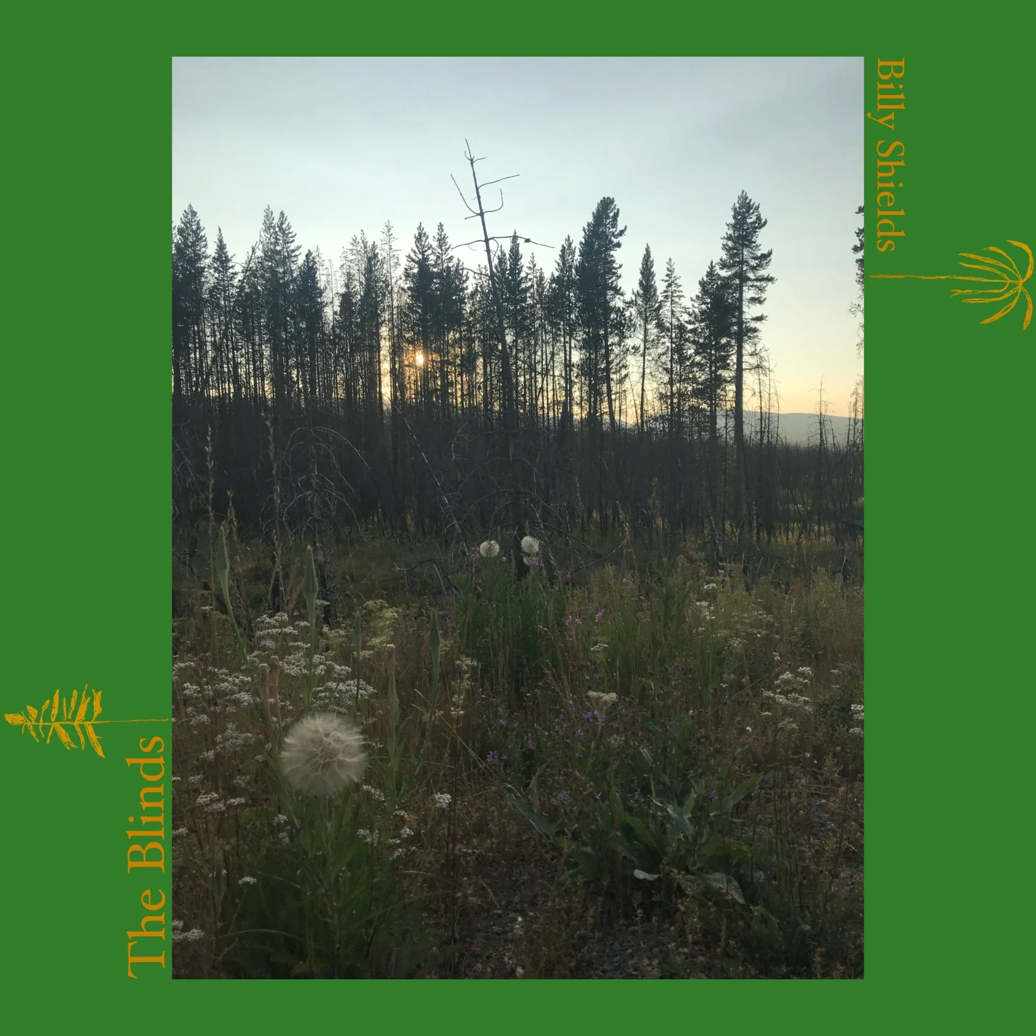 Alta, Wyoming, August 2018