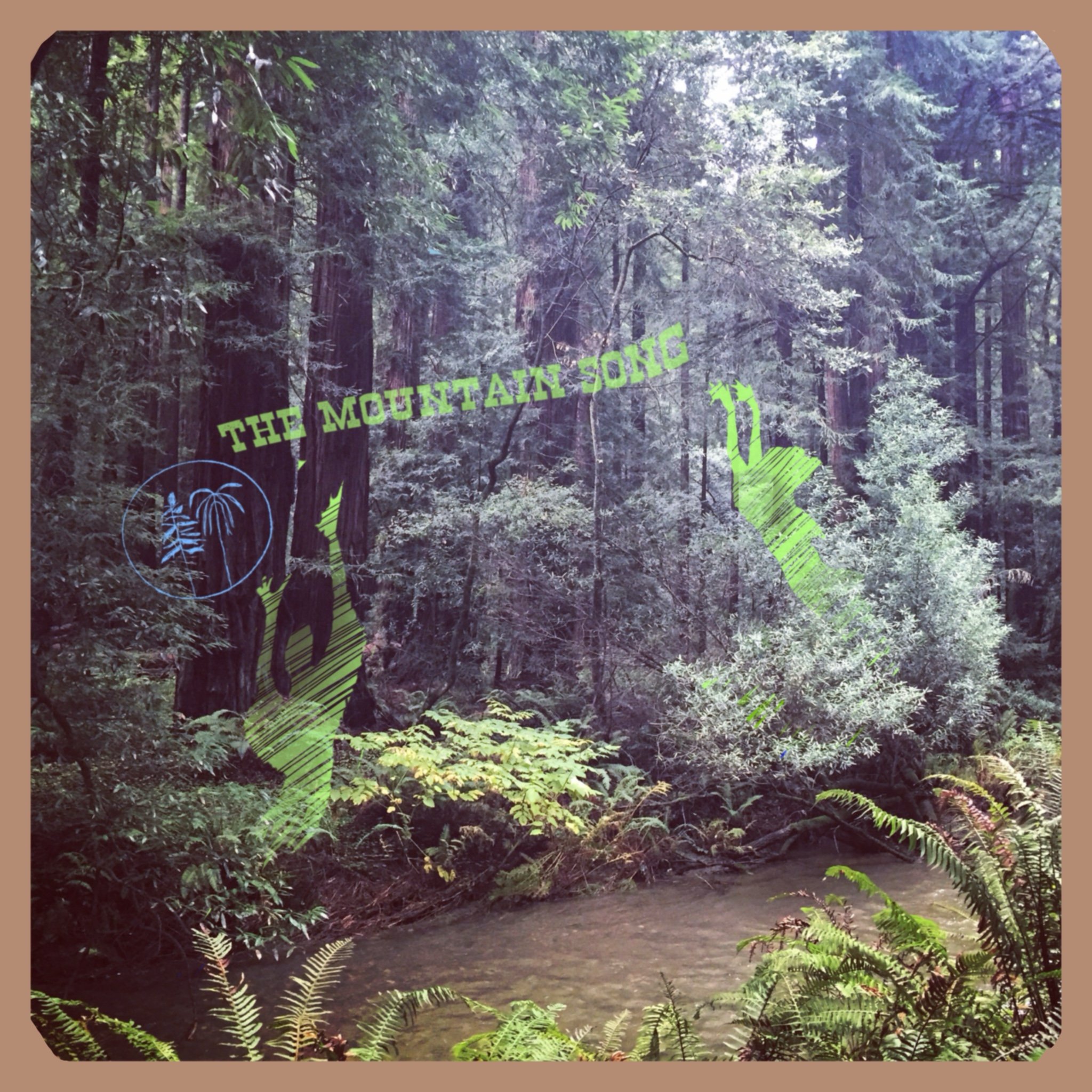 Muir Woods, Mill Valley, California, December 2014