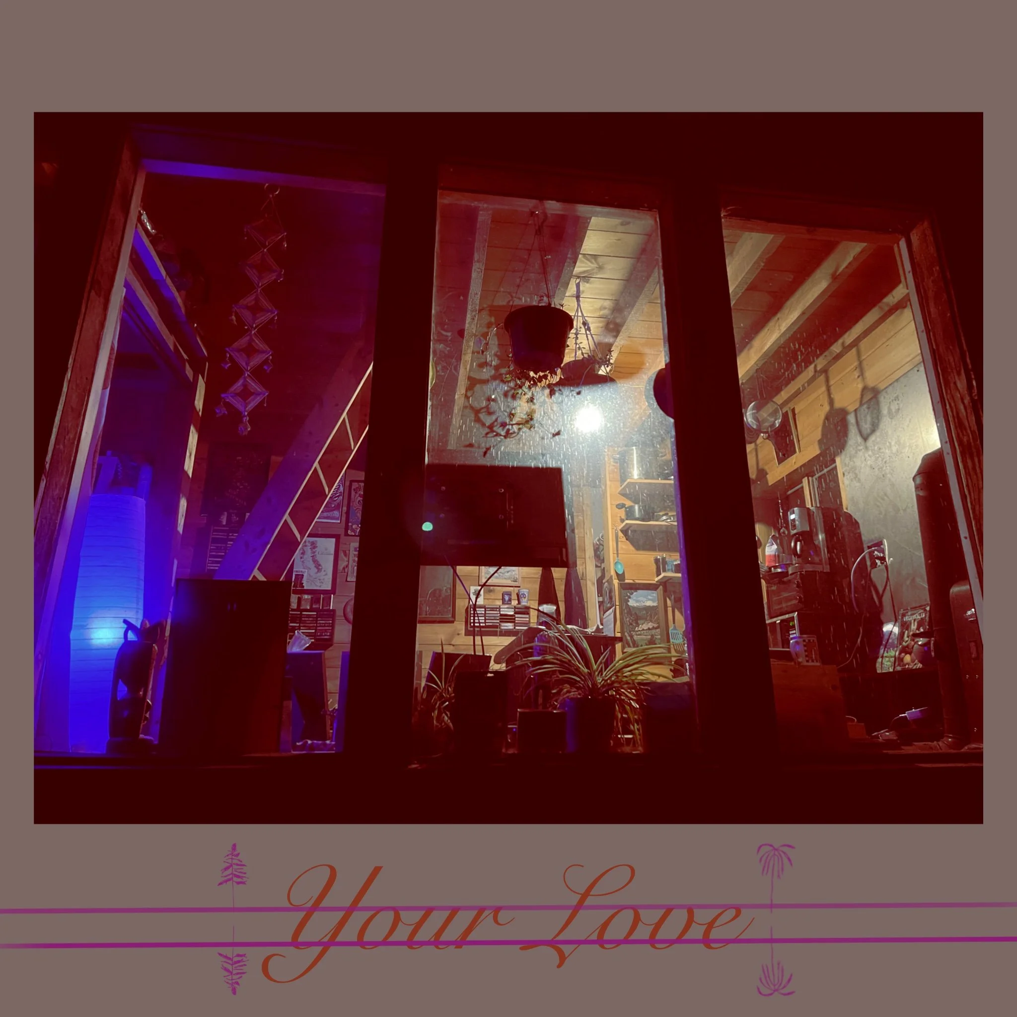 My Cabin, Wendell, Massachusetts, November 2022