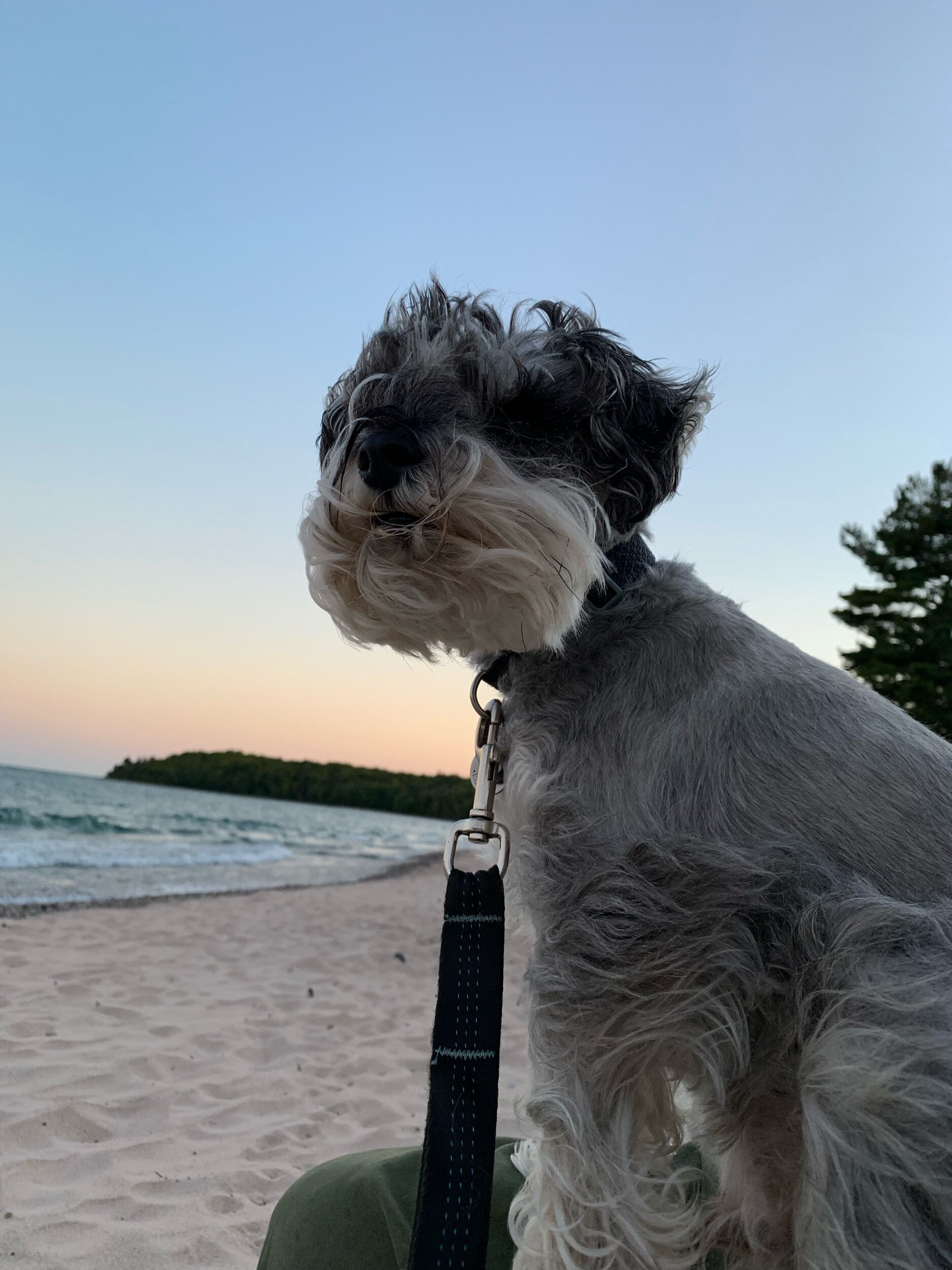  kaiser at windy sunset 