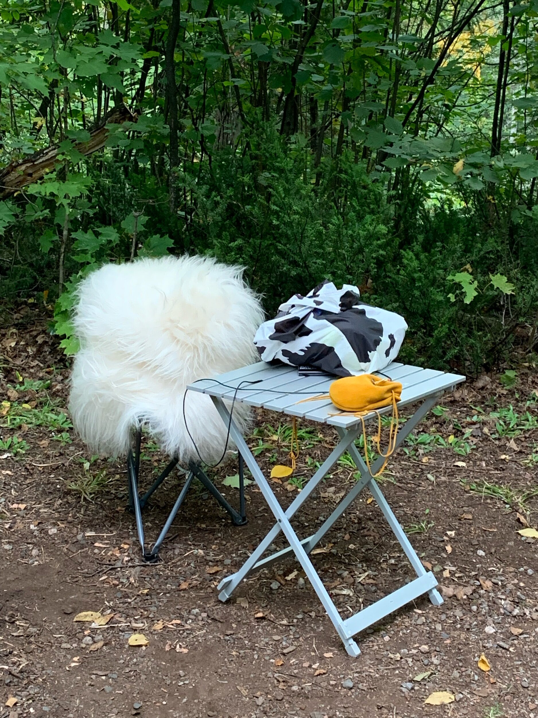  Ásdís, an Icelandic sheep pillow acquired at a gift shop near Pancake Bay, chilling at our campsite 