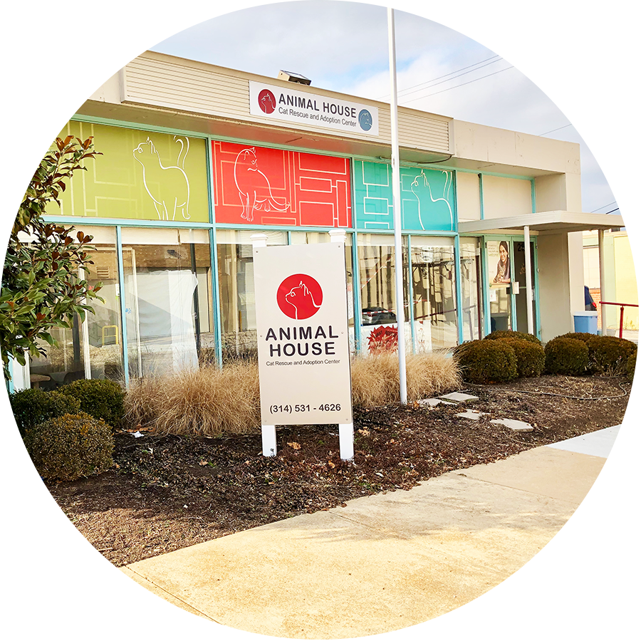 About Us — Animal House