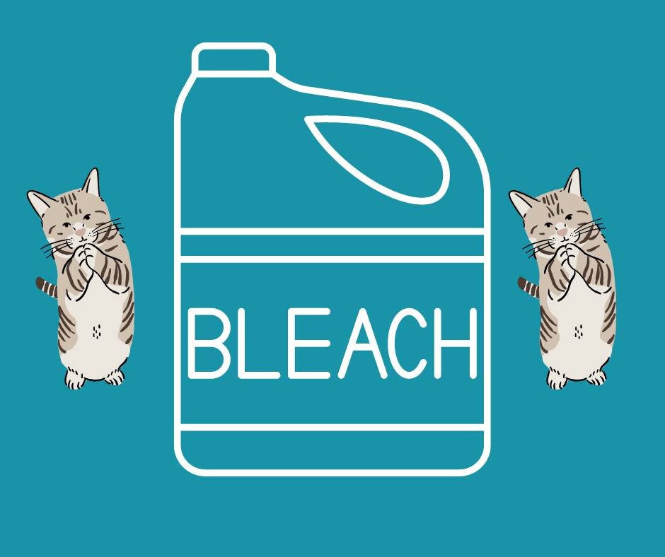 🐾🧼 URGENT CALL FOR BLEACH DONATIONS! 🧼🐾

Hi everyone! At our cat shelter, keeping things sparkling clean is a top priority to ensure the health and safety of our friendly felines. We use bleach daily to sanitize bedding, towels, and more. With 85