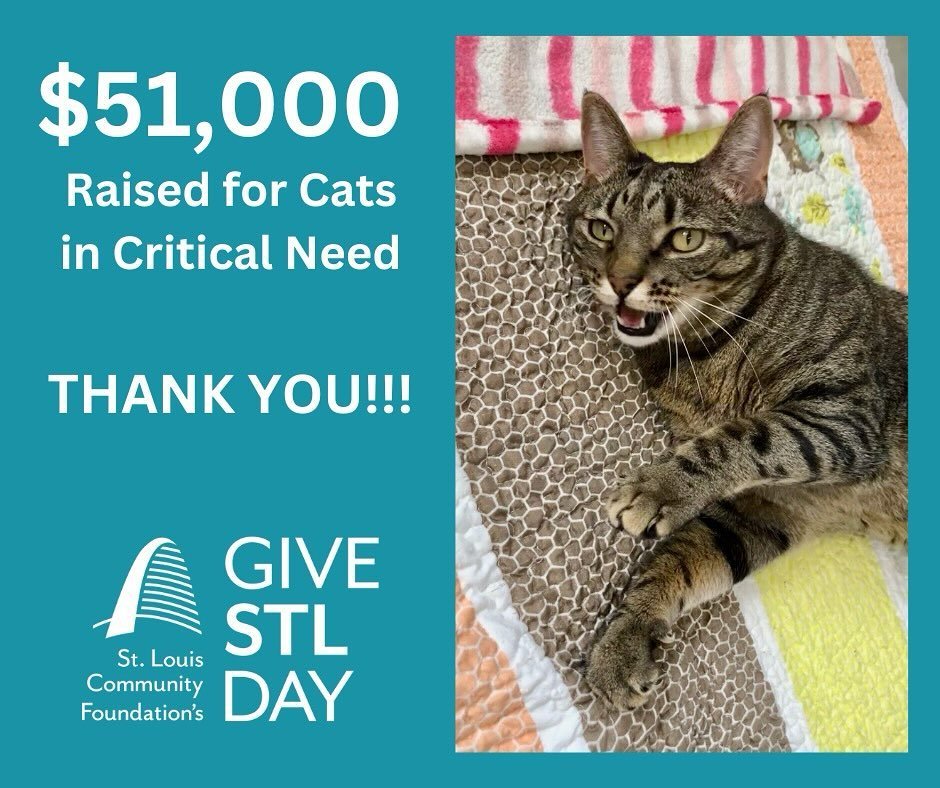 😺 #GiveSTL Day SUCCESS!!😺

Hello amazing friends! We&rsquo;ve just wrapped up #GiveSTL Day, and and have fantastic news: Thanks to your incredible generosity, we didn&rsquo;t just meet our goal; we smashed it. 

Together, we raised a remarkable $51