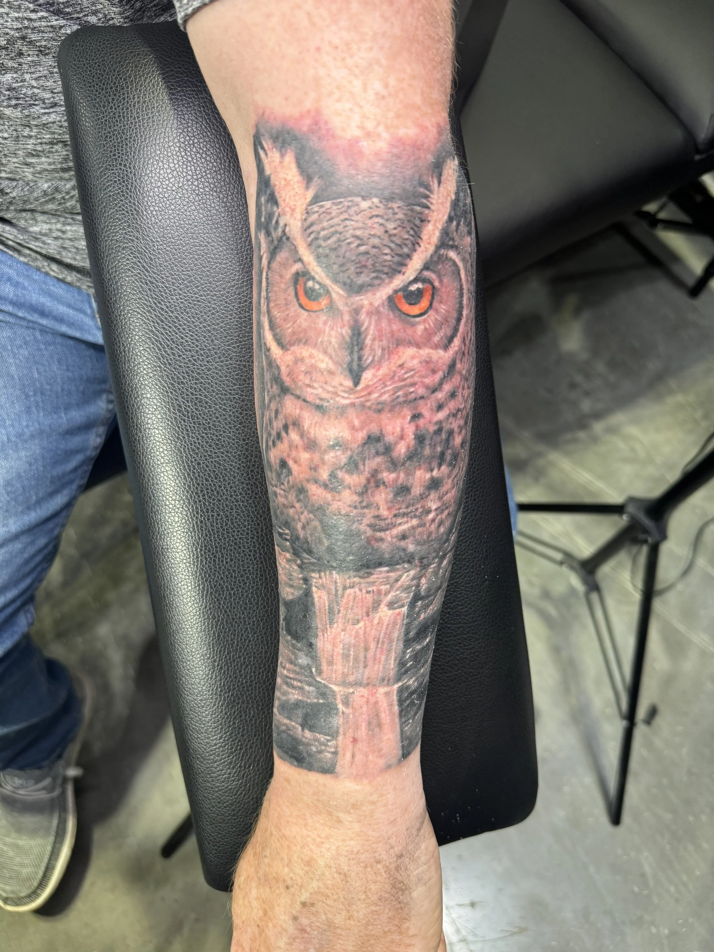 Owl and waterfall realist .jpg