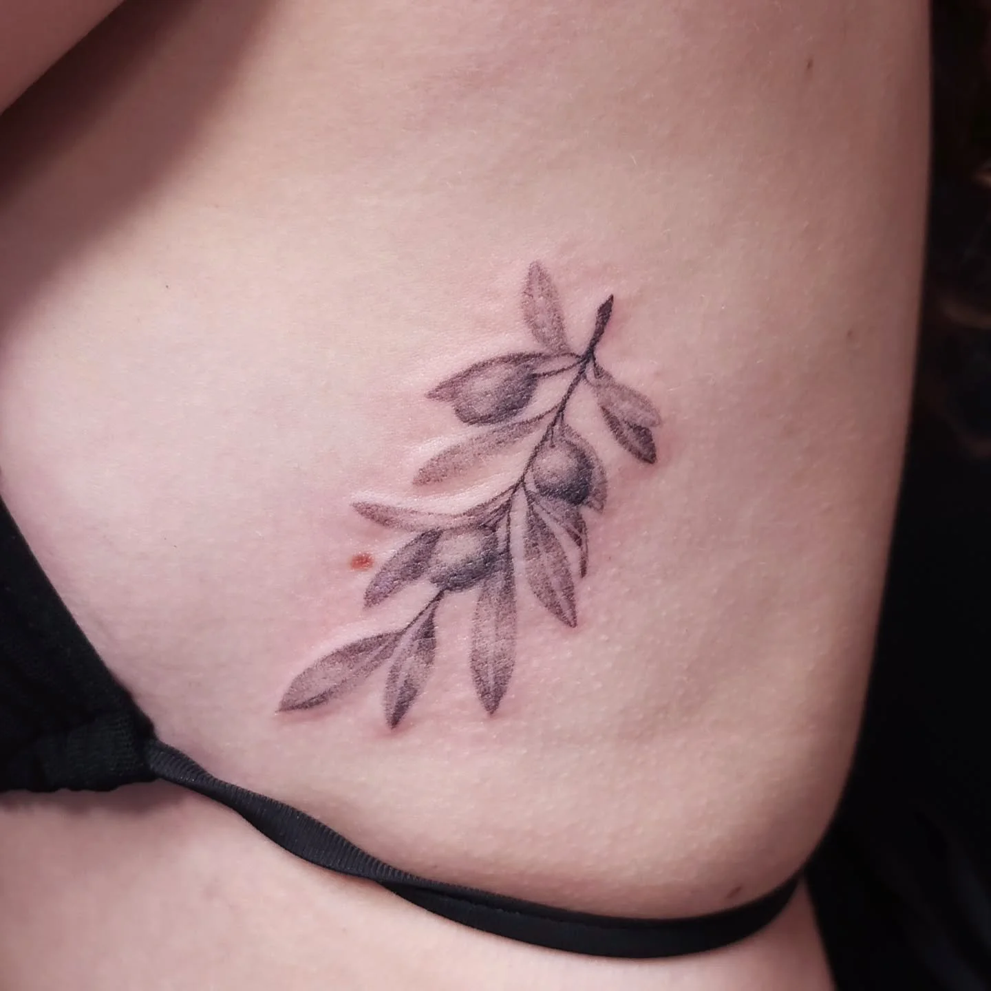 Little dainty olive branch for Olivia! Thank you so much for trusting me with your 1st tattoo! You sat like a rock!

Fill out the Form in my bio to book!
Booking for: FEBRUARY &amp; MARCH
Don't forget to tag me in your pictures so that I can share! P