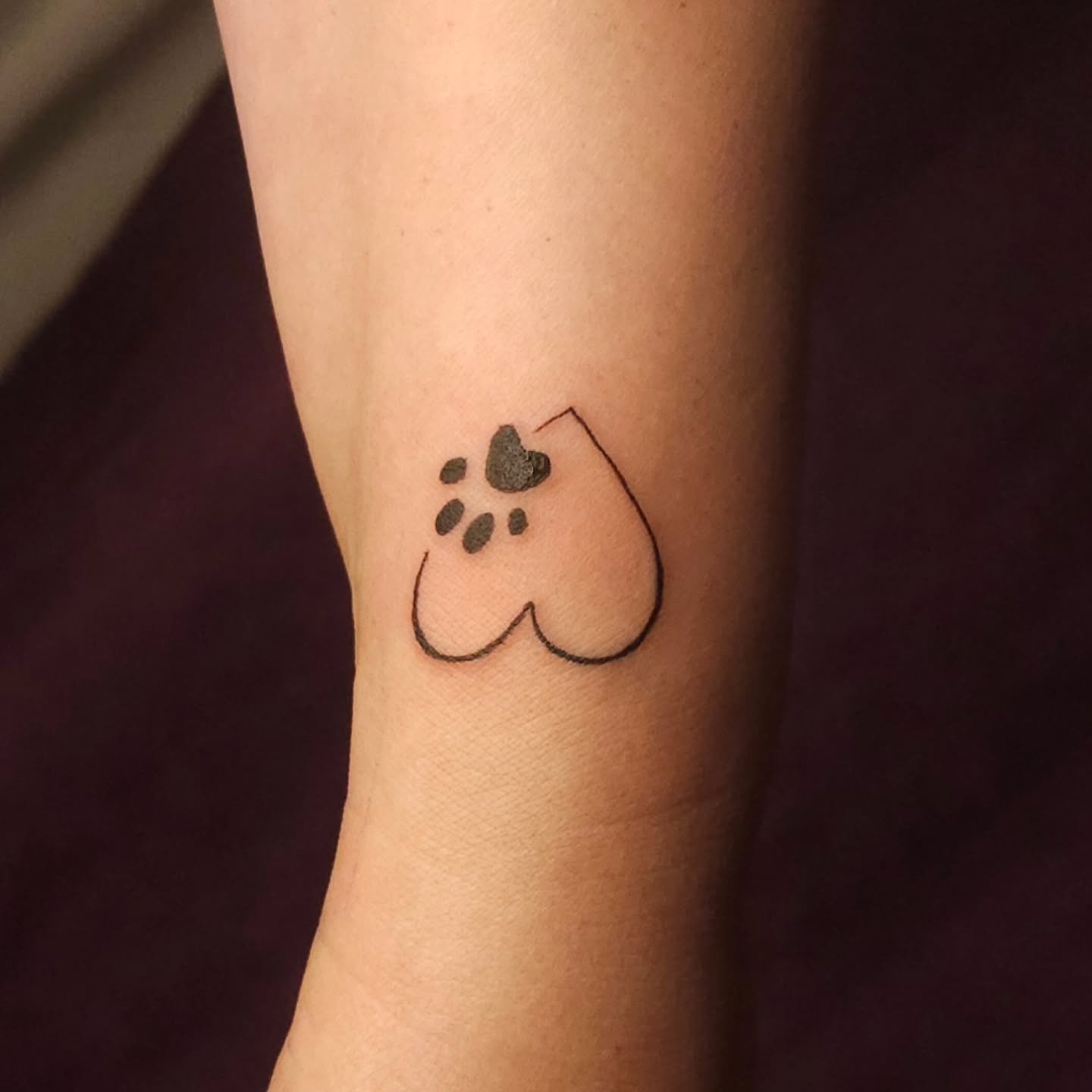 Paws print for your furry friends that last forever 💕 

#lunainkmississauga #mississaugatattooartists #cutetattoo #mississaugatattoostudio #femaletattooartist