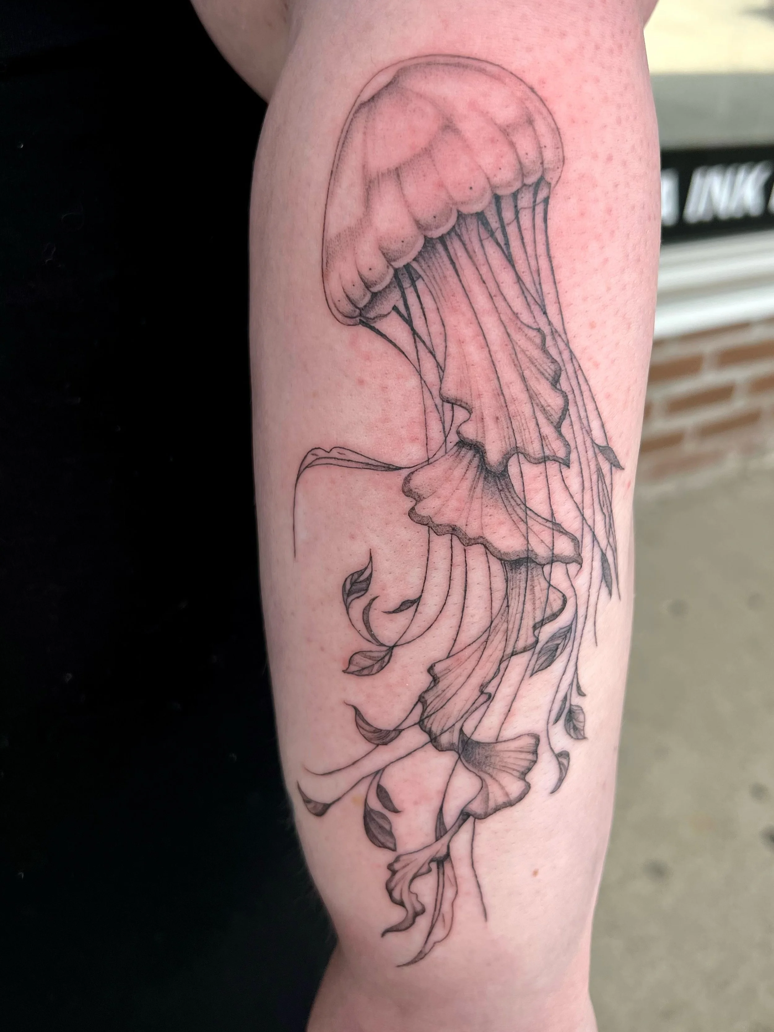 Custom Jellyfish tattoo 🪼

Thanks for letting me do this for you I&rsquo;d love to do more like this 🙂&zwj;↕️

Now booking for June and July 

Your idea or mine ❤️&zwj;🔥 

Check out my highlights for available flash
