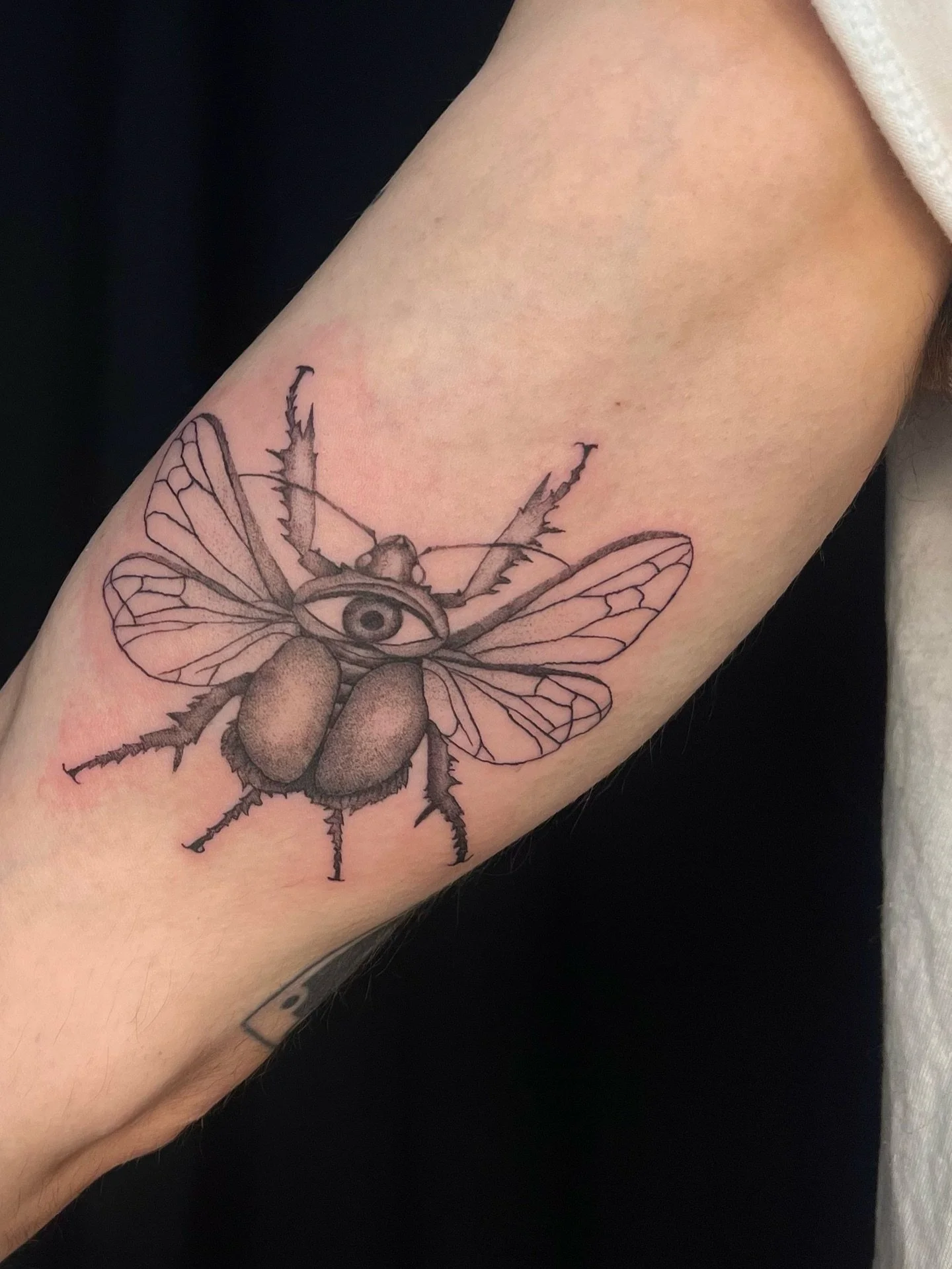 🚨Flash Piece Taken! 🚨

More like this in my highlights 

Thank you for taking this flash piece!! 

I am now booking for May and June! 

Dm or fill out the jotform on my bio to book with me! 

Your idea or mine! ❤️&zwj;🔥

#tattooideas #mississaugat