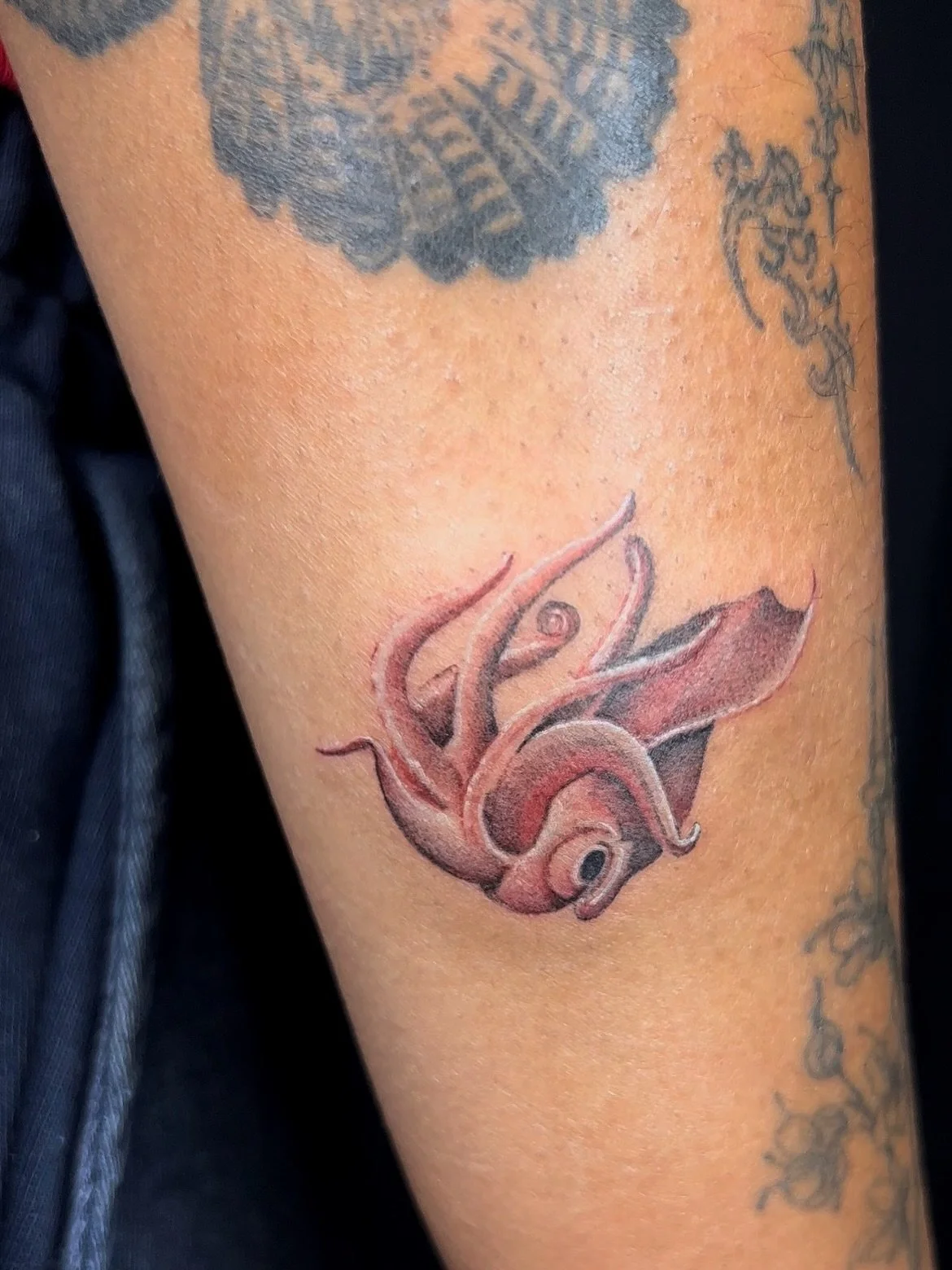 Little squid 🦑 
Such a cute tattoo idea! 

This was slightly bigger then a toonie

Now booking for April + May!
Sunday to Thursday availability 
12-7 pm 

Your idea or mine! ❤️&zwj;🔥
Dm or fill out the form in my bio to book with me 

#minitattoo #