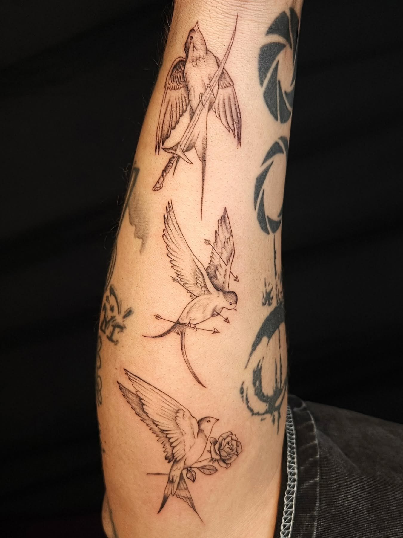 Three Little Birds 🐦🐦🐦 for my friend @trey.infocus #tattoo #mississauga #explore #mississaugatattooartist