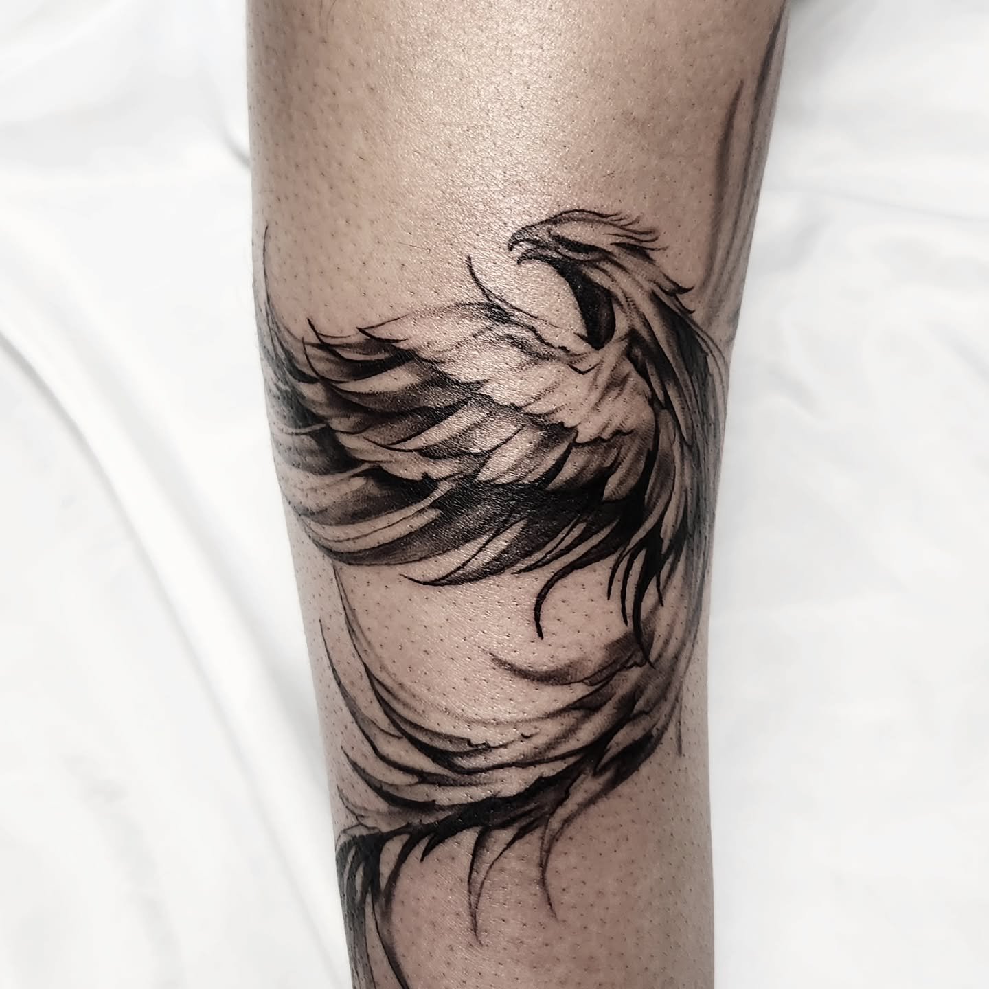 very fun wrap around Phoenix design on the forearm ✒️💉⚫️⚪️ #blackandgreytattoo #gtatattoo #tattoo #forearmtattoo #Toronto
