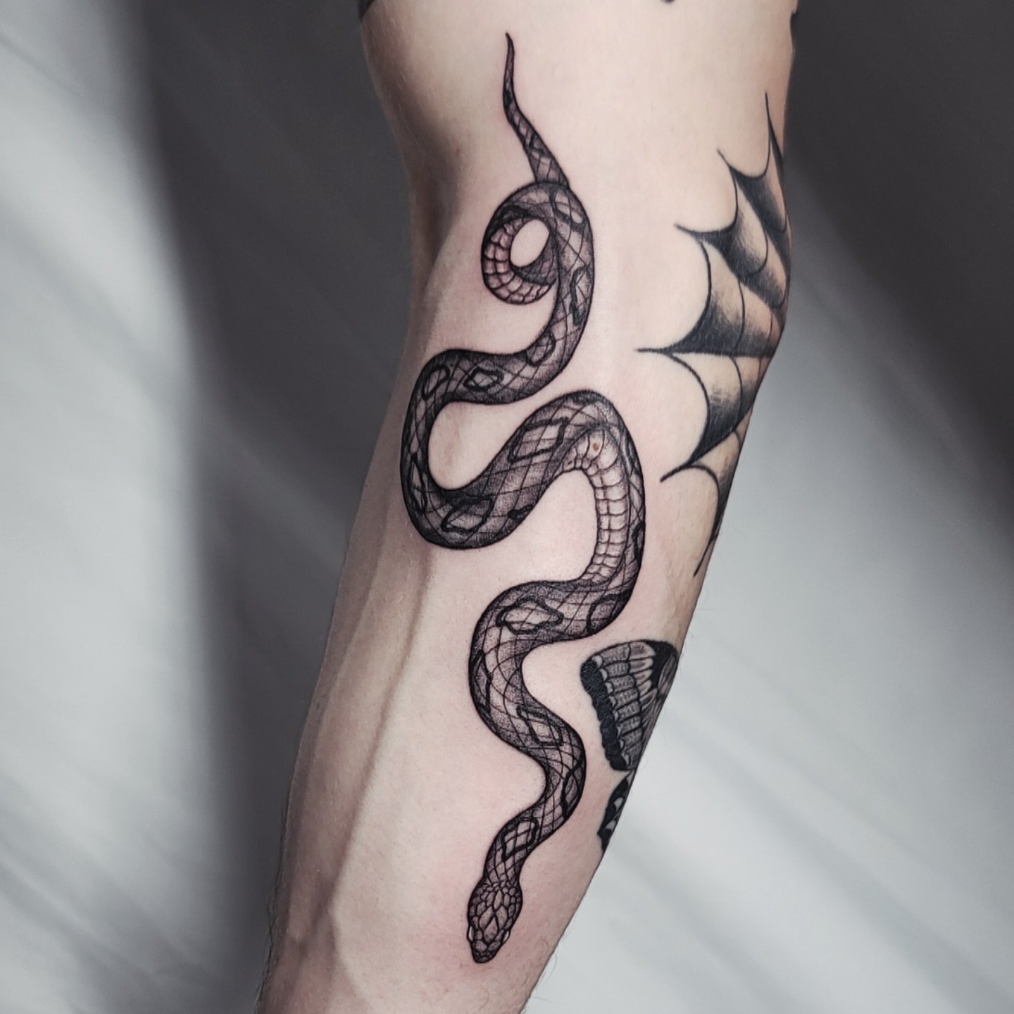 🐍
Forearm snake piece
.
.
.
#tattoo #snake #tattoos #tattooartist #tattooist