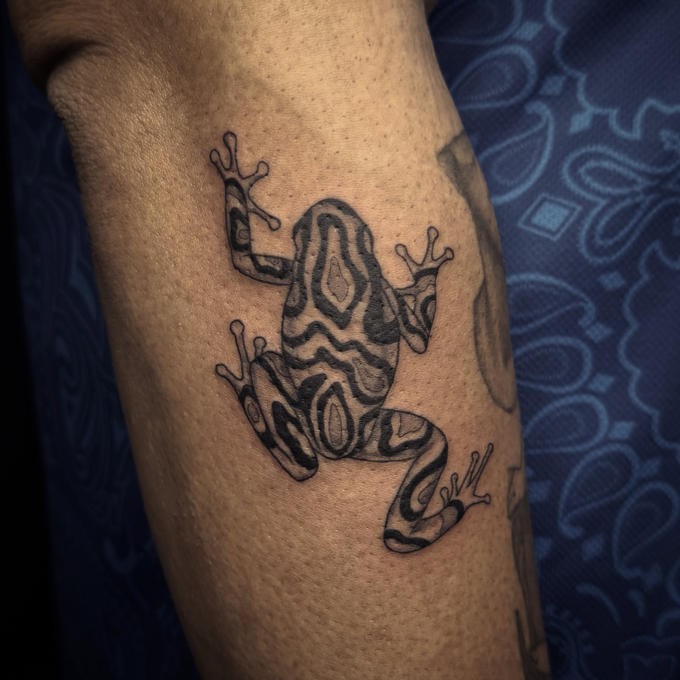 🐸
Frog forearm piece
.
.
#tattoos #frog #blackandgreytattoo #animals #tattooartist