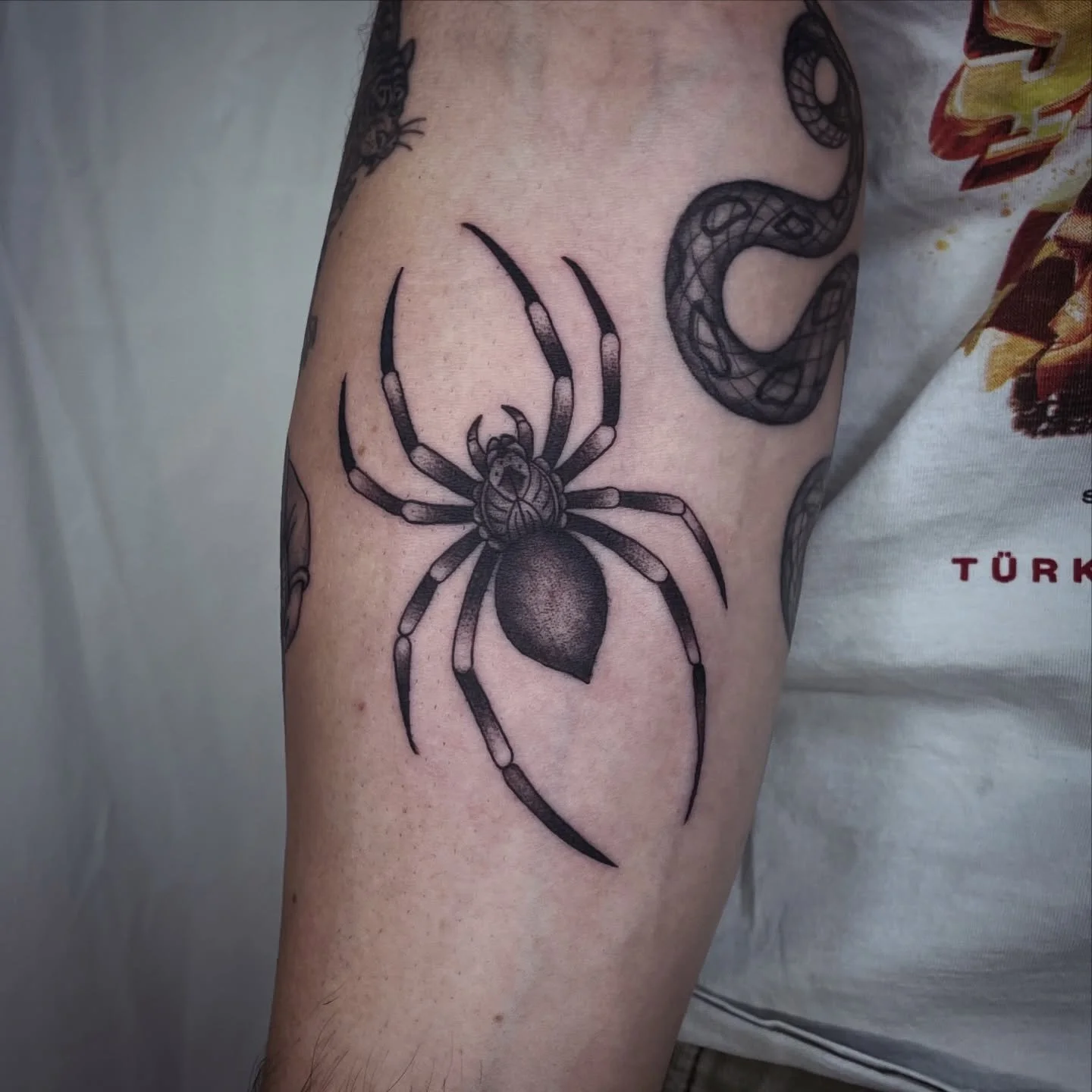 🕷️ 
Spider forearm piece
.
.
.
#tattoo #spider #traditional #spiderman #tattooartist