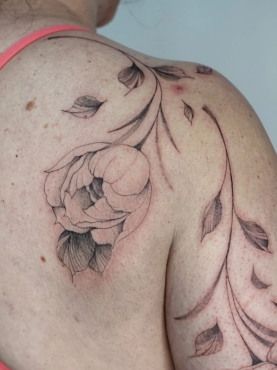 Camellias falling softly on the shoulder.
Thank tou for claiming my flash !
.
Now booking for July-Aug. Fill out my form link in bio to book.
.
#FinelinetattooartistMississauga
#WatercolortattooToronto
#FemaletattooartistMississauga
#Blackandgreytatt