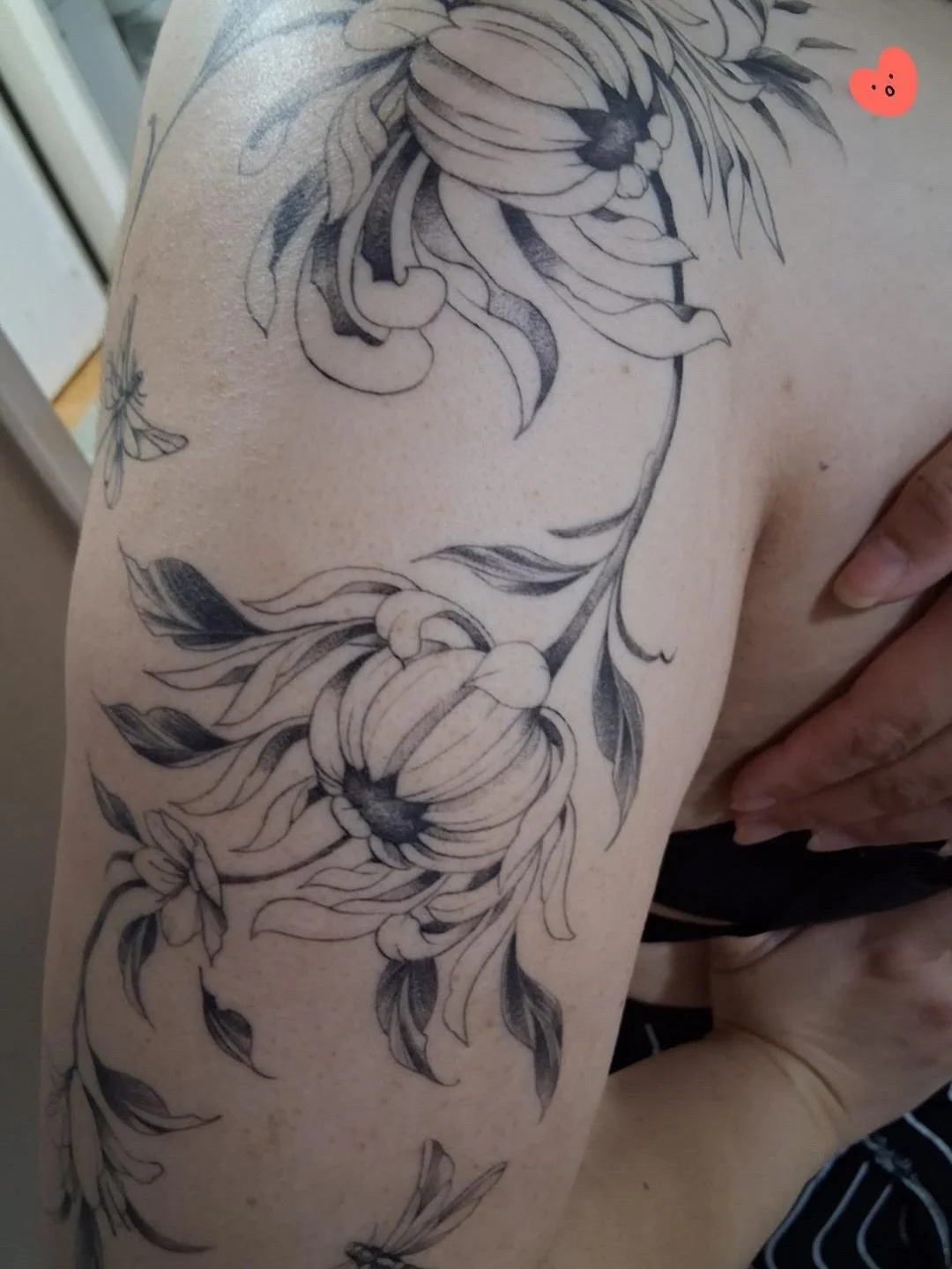 Healed photos from chi Tami!!! I loved how the ink settled nicely on her skin. 10/10 would love to do more of chrysanthemum tattoos!.
Now booking for July-September. Fill out my form link in bio to book.
.
#FinelinetattooartistMississauga
#Watercolor