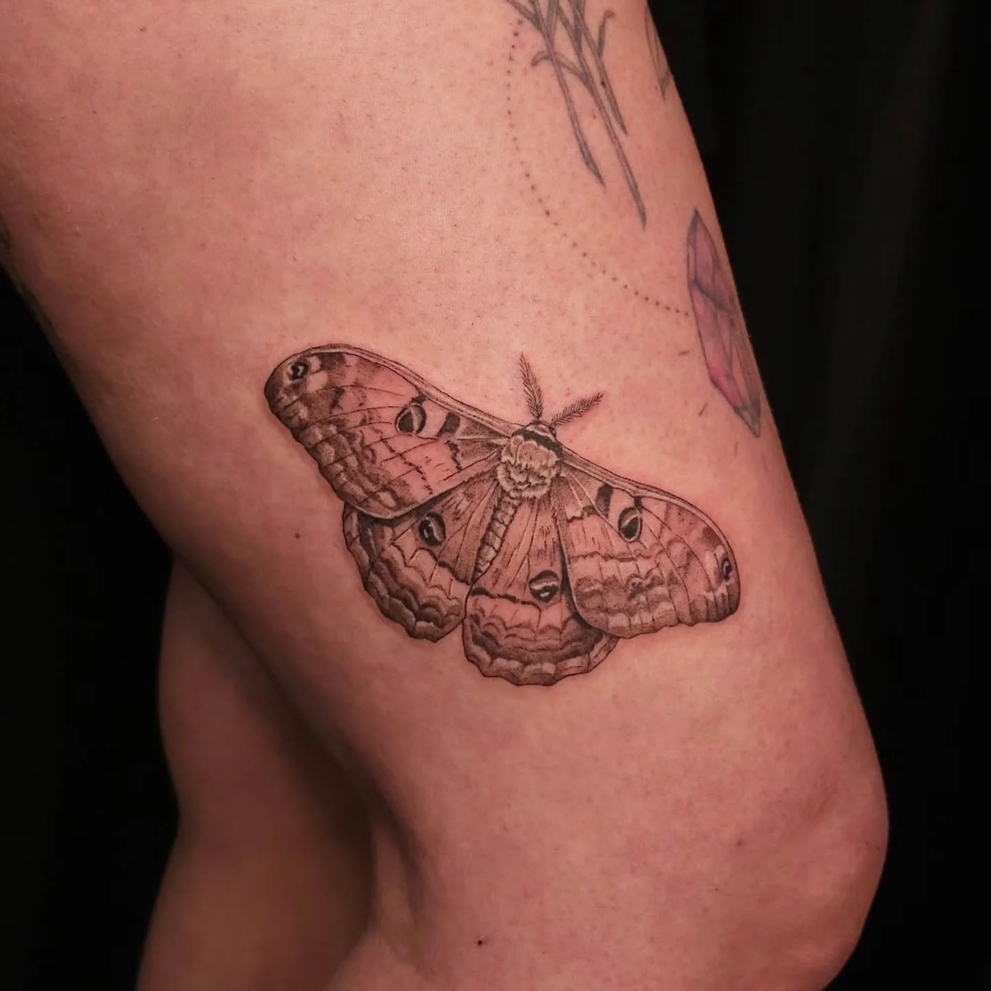 There&rsquo;s something about a detailed moth tattoo that I&rsquo;ll never get tired of. The symmetry, the tiny patterns in the wings, and all those little details make it such a beautiful subject for fine line work.

They say no matter how dark the 