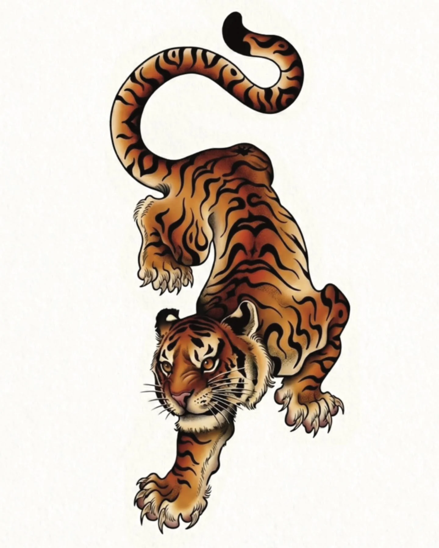 Neo trad tiger available. 7 to 8 inches $ 250 to 300 plus tax. 

#lunainkmississauga #mississaugatattooartists #NeoTraditional #mississaugatattoostudio #femaletattooartist
