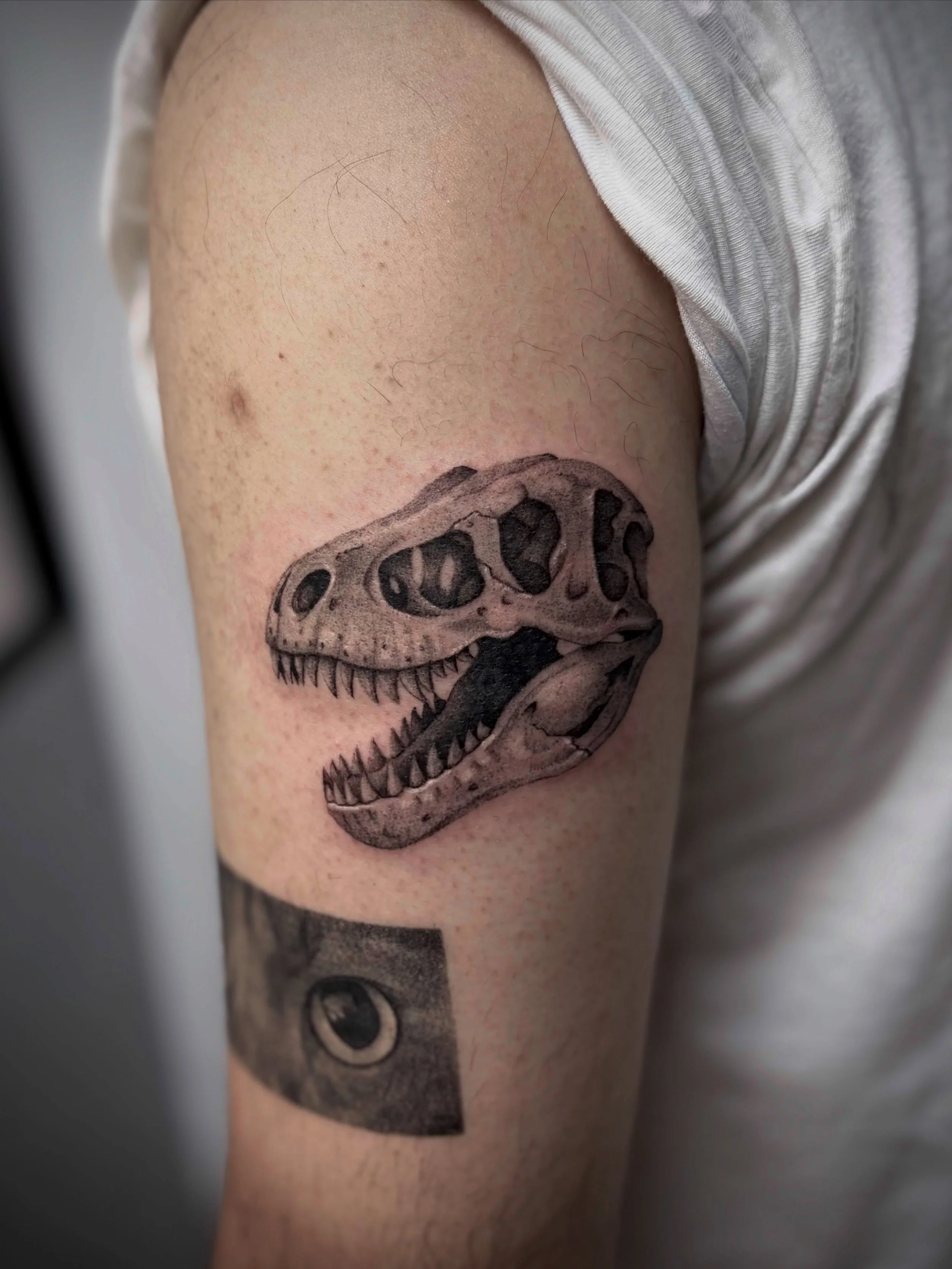 T-rex skeleton from my flash! Check out my flash design for more designs like this. 
-
#tattoo #tattooartist #realismtattoo #explore #skulltattoo