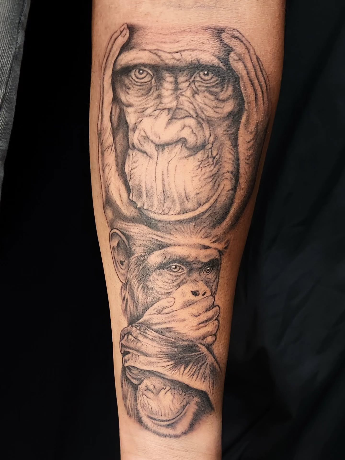 Hear No Evil, Speak No Evil, See No Evil inner forearm piece for my good friend @milan.thiara 

#blackandgreytattoo #tattoo #mississaugatattoo #explore