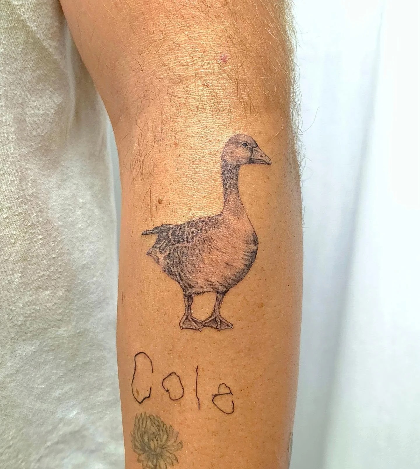 Sometimes you just need a little goose. 🪿 A tiny realistic piece with fine details and soft black and grey shading.

Fill out the Form in my bio to book!
Booking for: OCTOBER - DECEMBER 
Don't forget to tag me in your pictures so that I can share! P