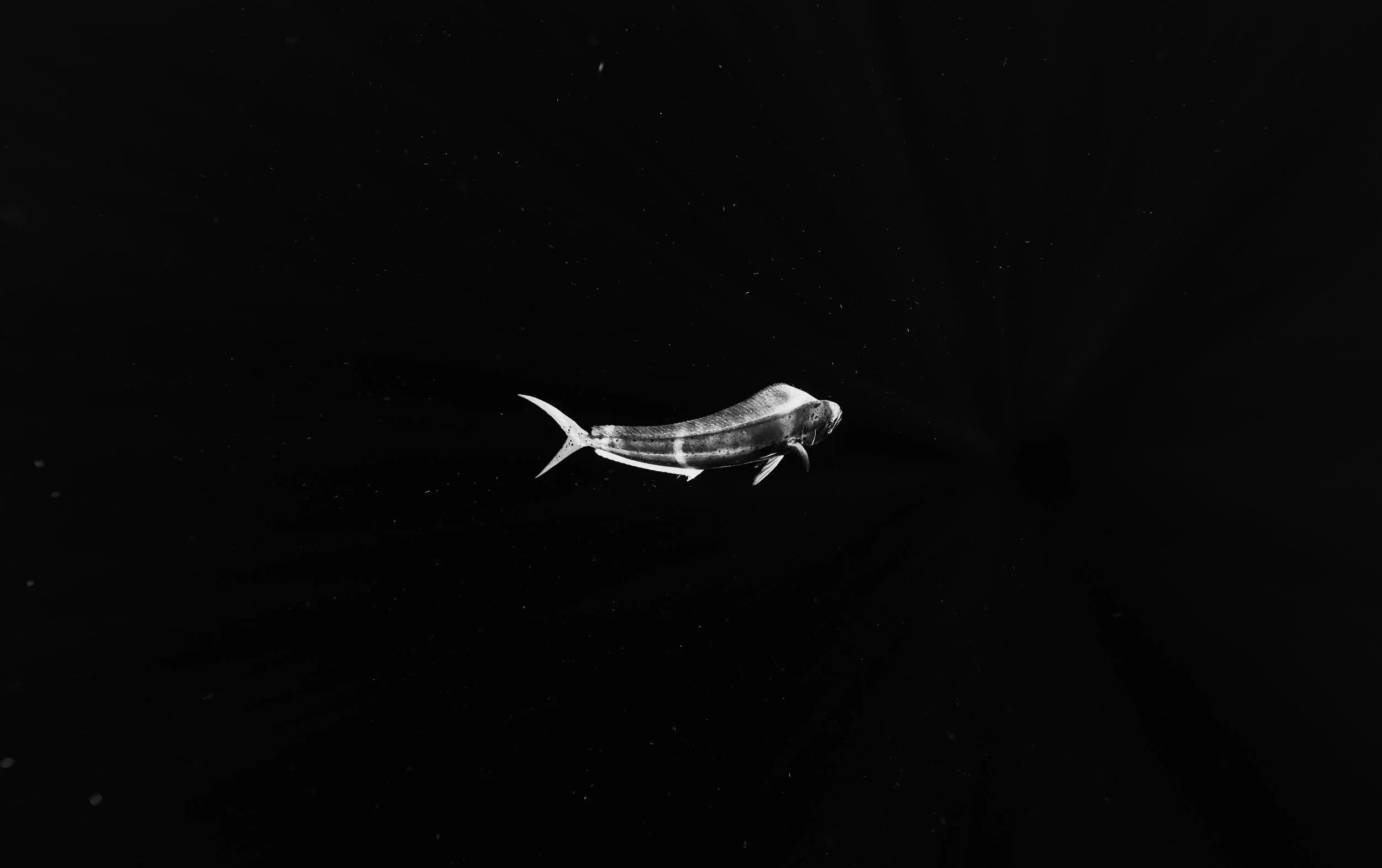 RM_01279.jpg