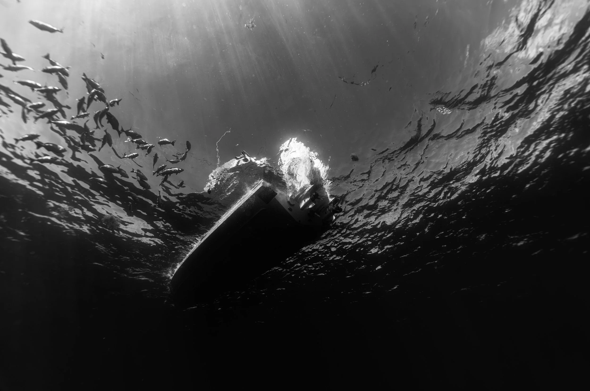 RM_00207.jpg