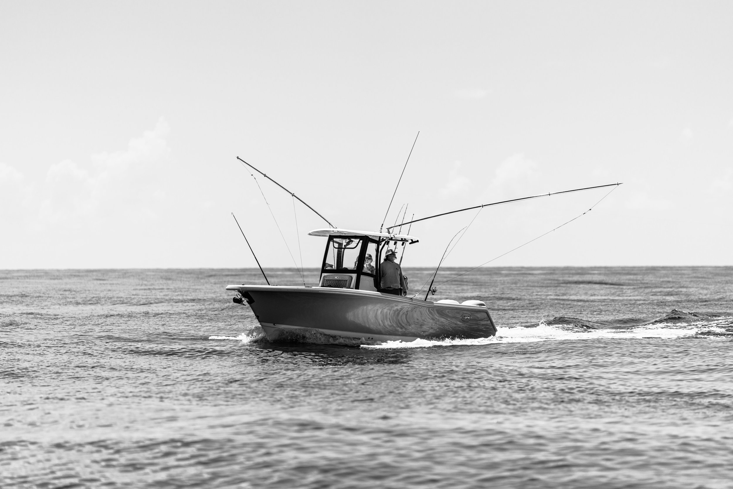 RM_01860.jpg