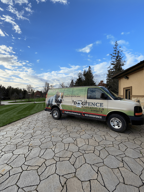 1 Rated Hidden Dog Fence Dog Fence Ontario