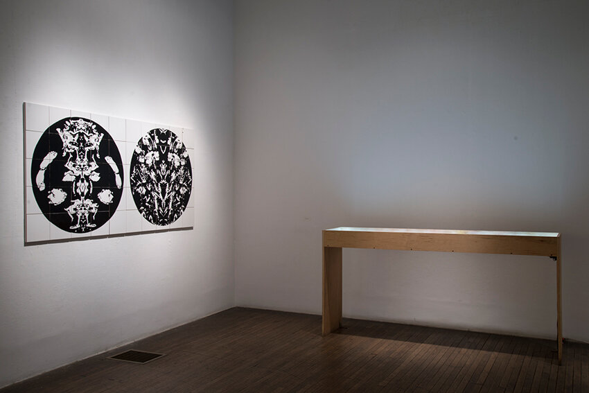  installation view with   Decompositions   