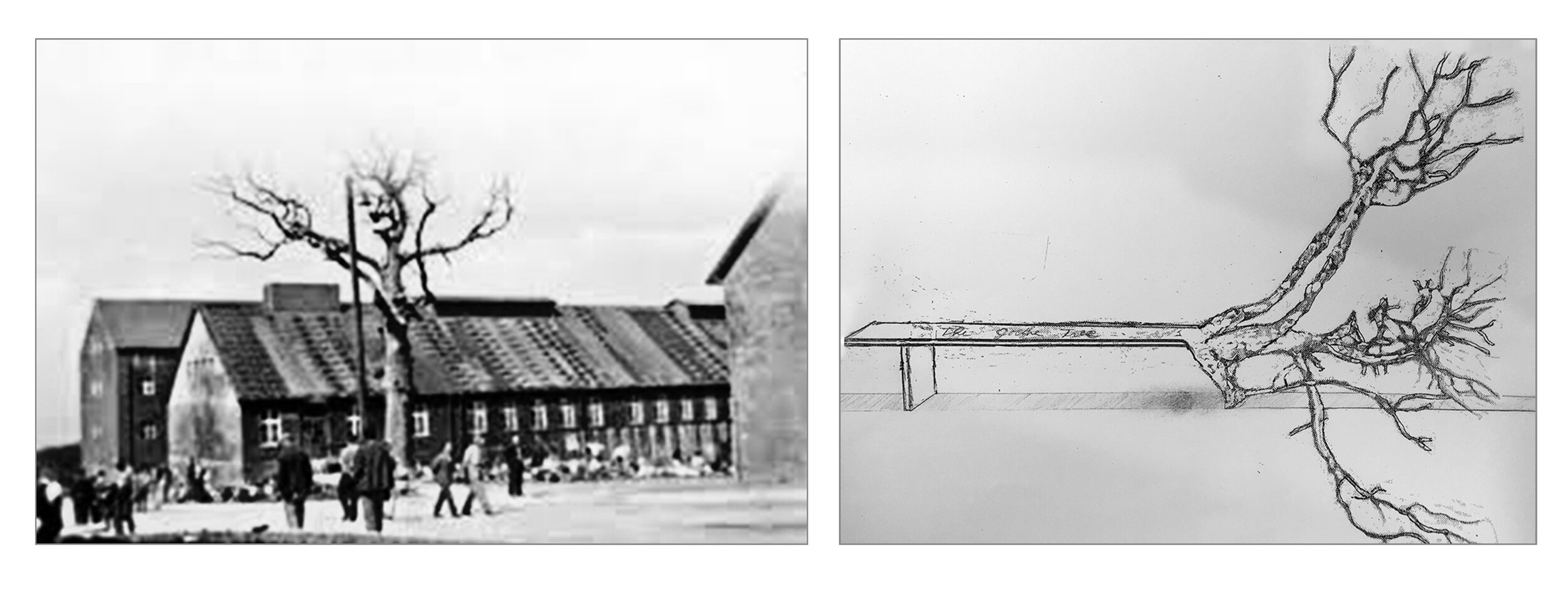   Left : a photo taken by a French prisoner at Buchenwald concentration camp, 1940   Right : Goethe Oak Bench sketch by artist Dov Or-Ner, 2017   