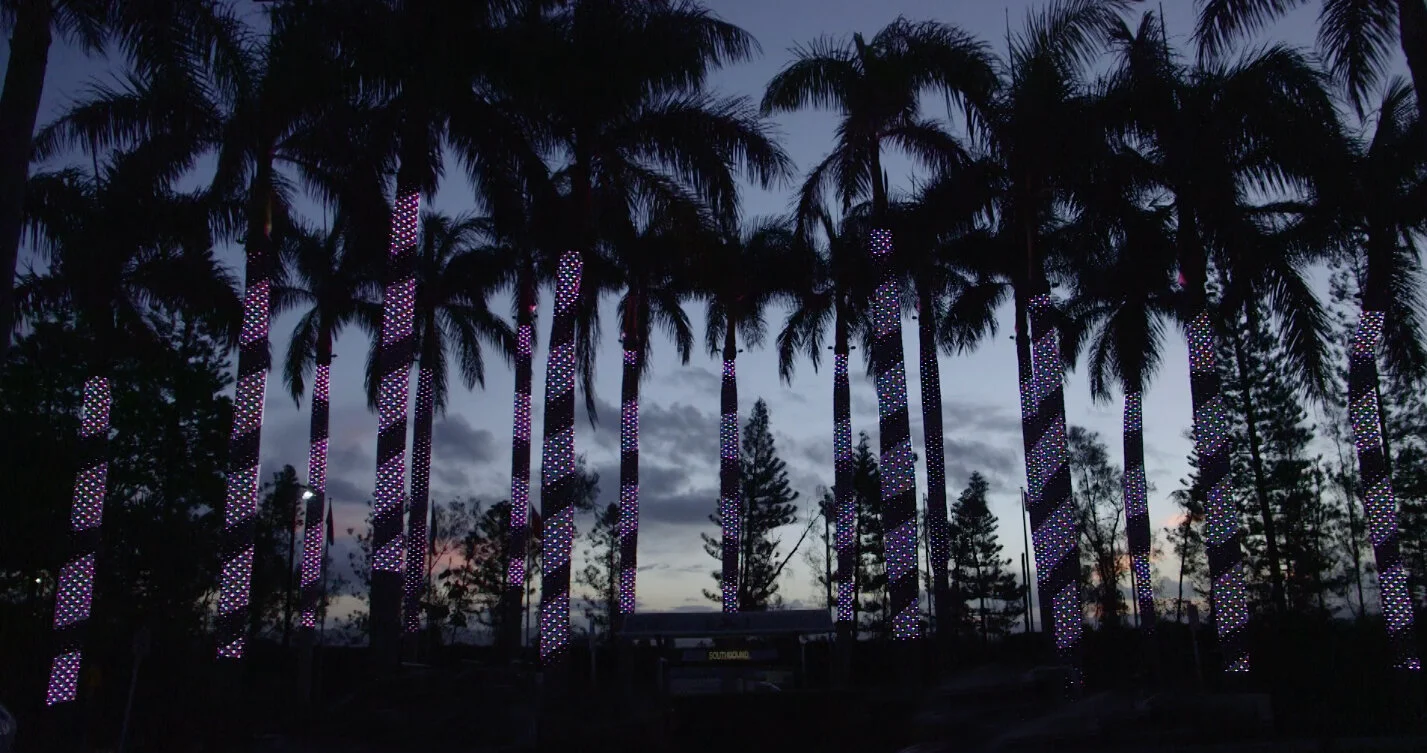 Jupiters Pole Bright.jpg