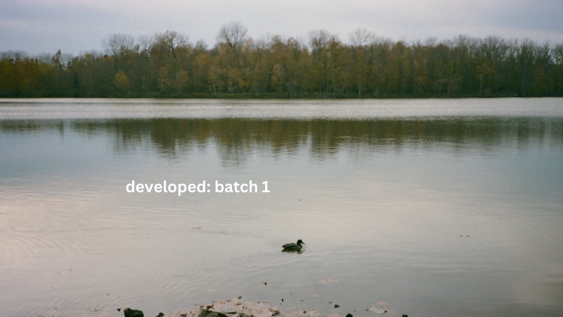 developed: batch 1