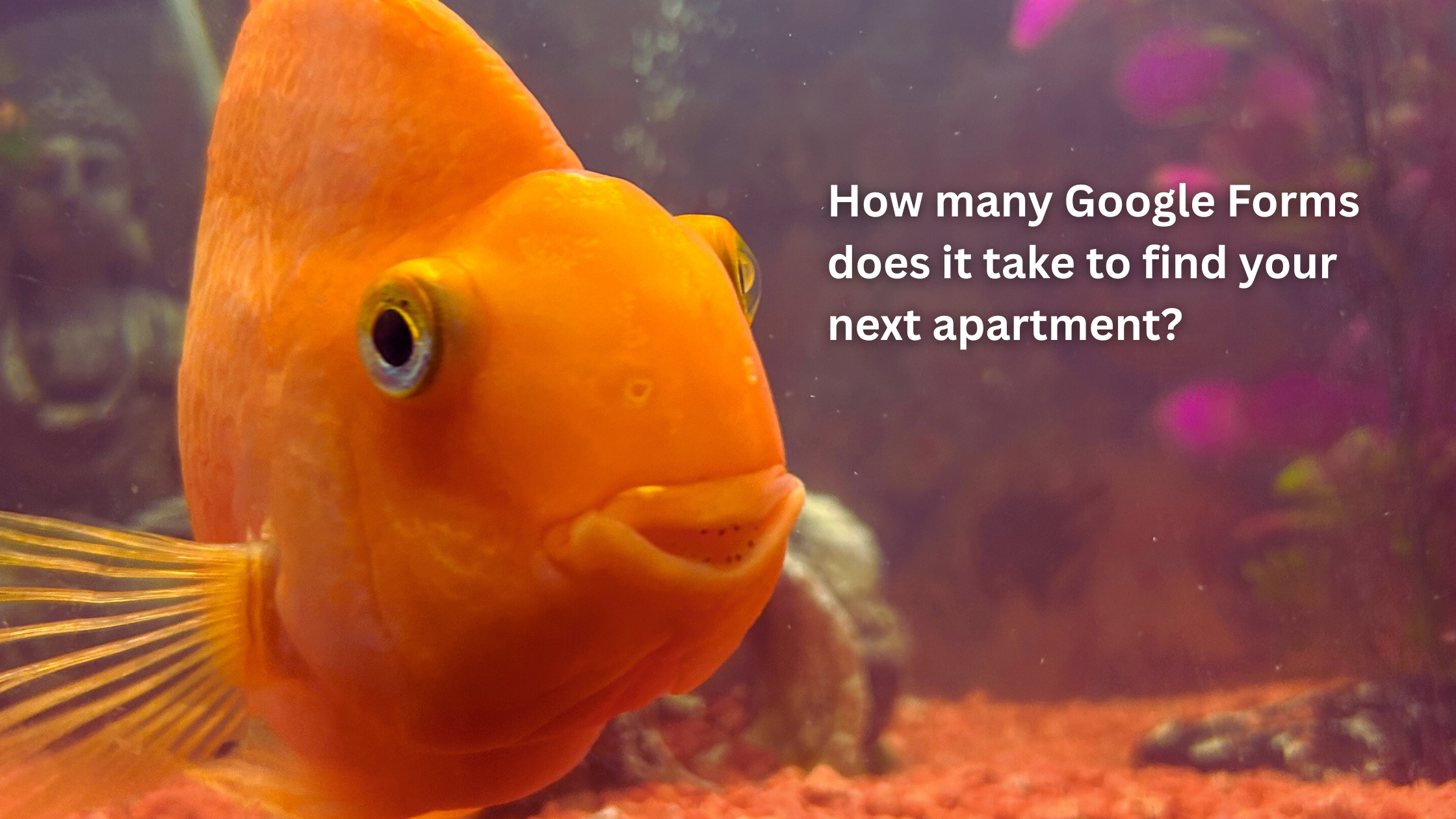 An EA’s Approach to Apartment Hunting