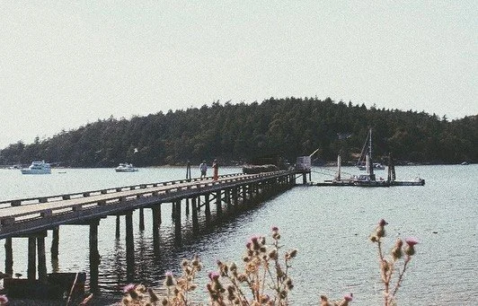 &ldquo;So much of who we are is where we have been&rdquo; 

Just a few (five) months away from being back in the islands, eating, drinking, sailing and slurping up some fresh shellfish. 

It&rsquo;s crazy how much a destination can feel like a home a