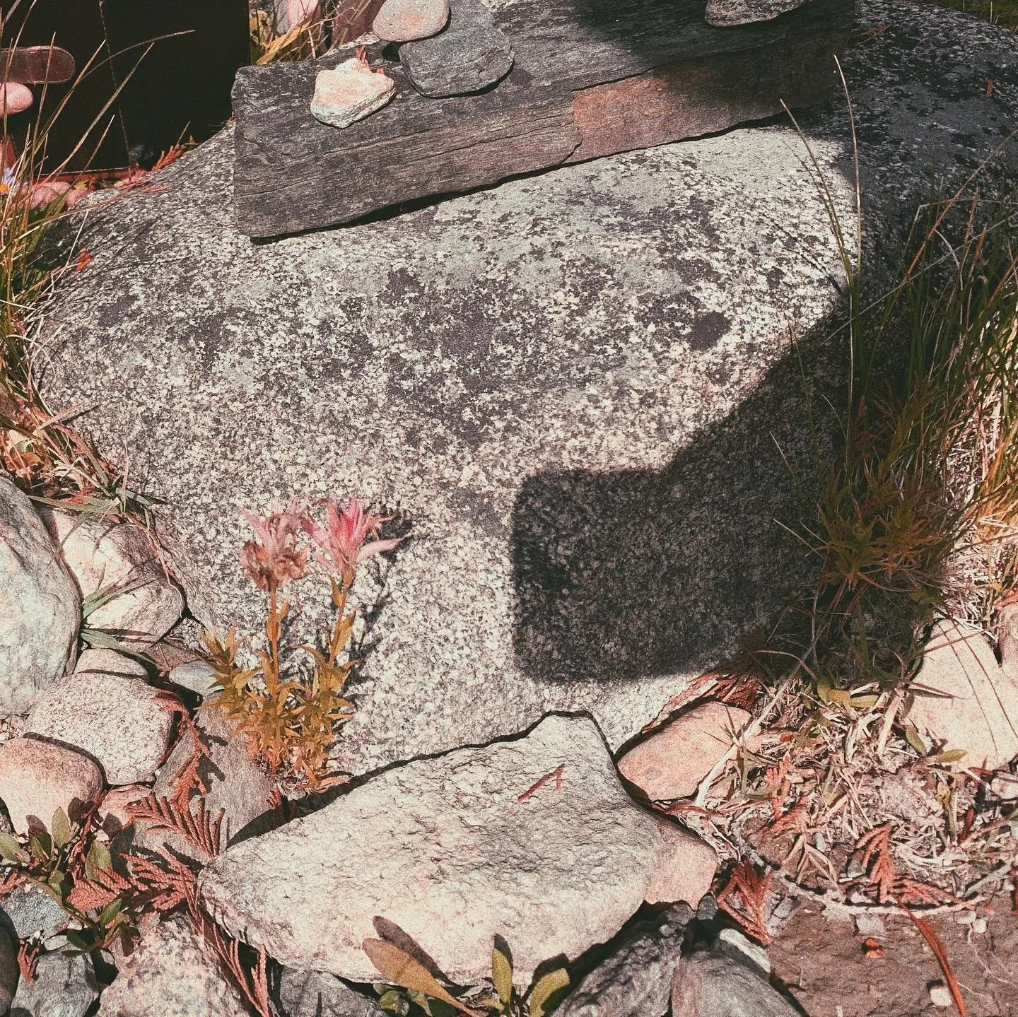 quick weekend // recap // put a few miles on my Jeep (always a güd feeling) as we snuck up to Leavenworth last Thursday/Friday before the others in town woke up and had a warm hashy breakfast! ☕️ Took our own touristy-tour of the Bavarian village be